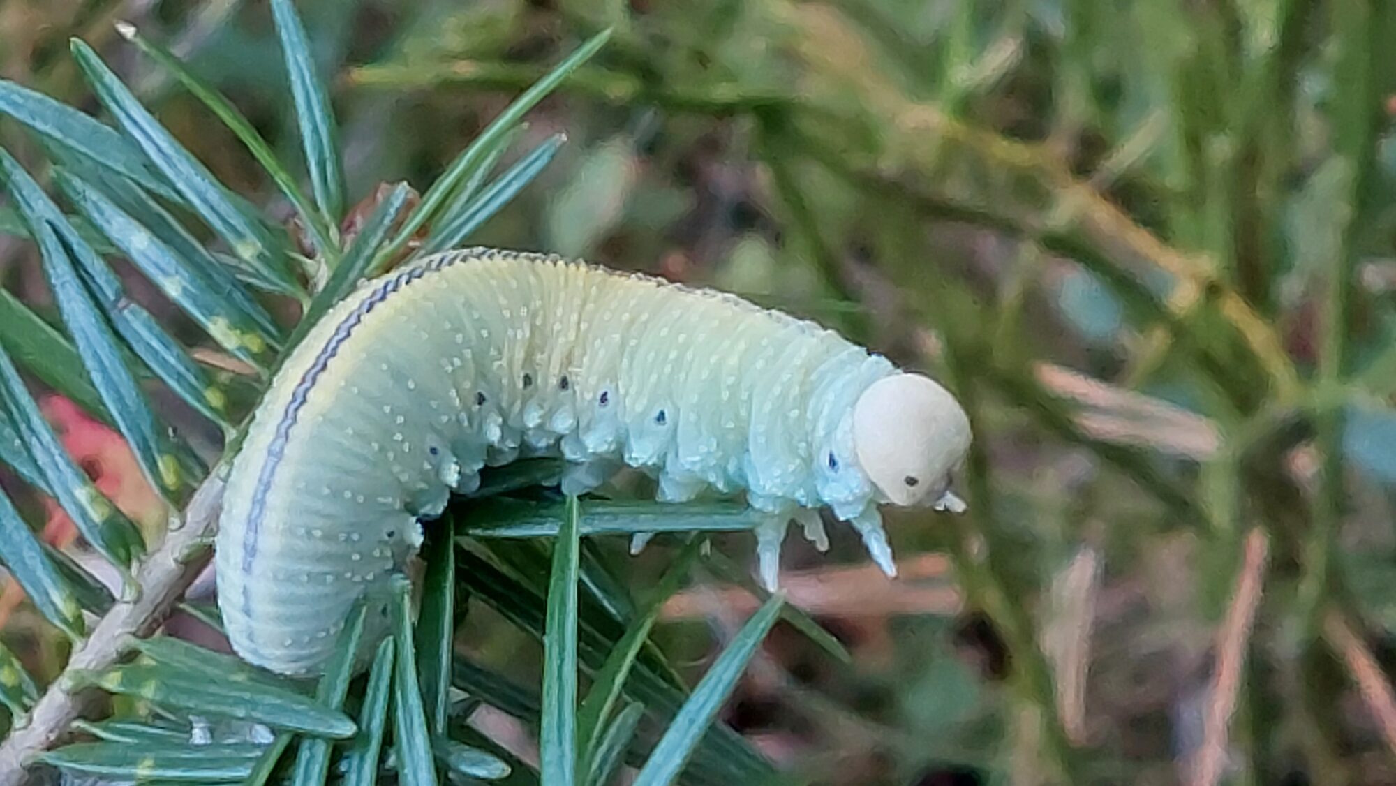 Valokuvaaja: Tarja Naukkarinen