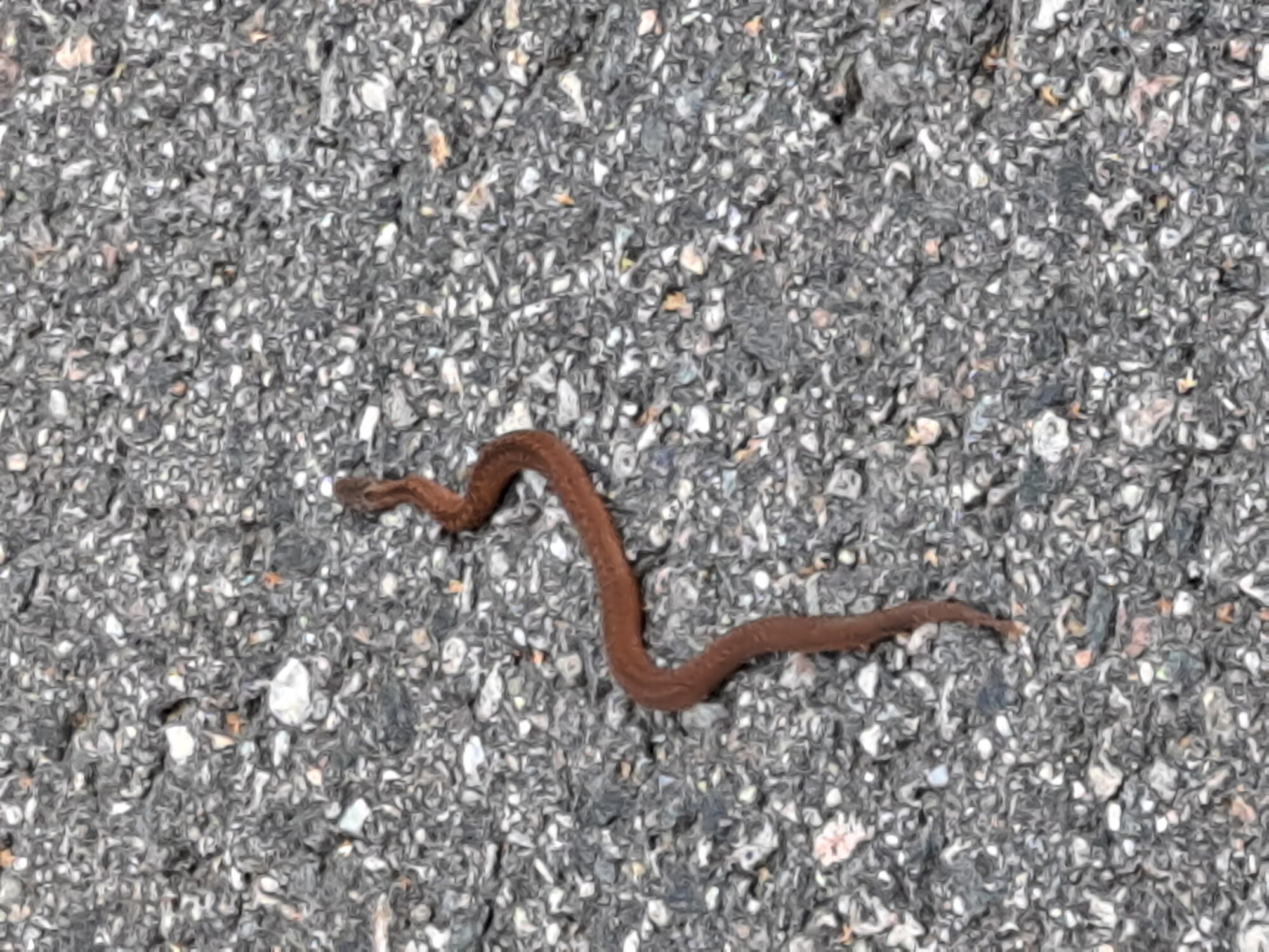 Valokuvaaja: Satu Suuntala