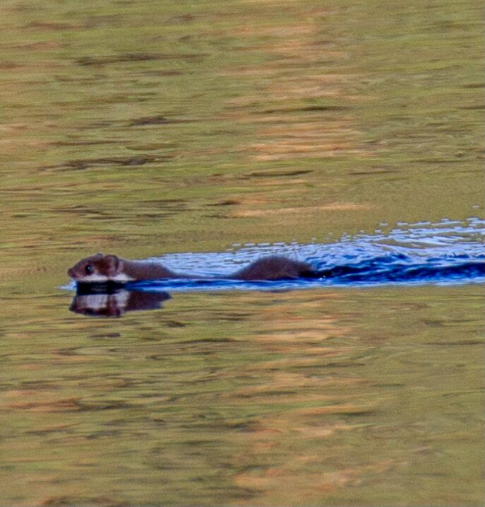 Valokuvaaja: Helena Minkkilä