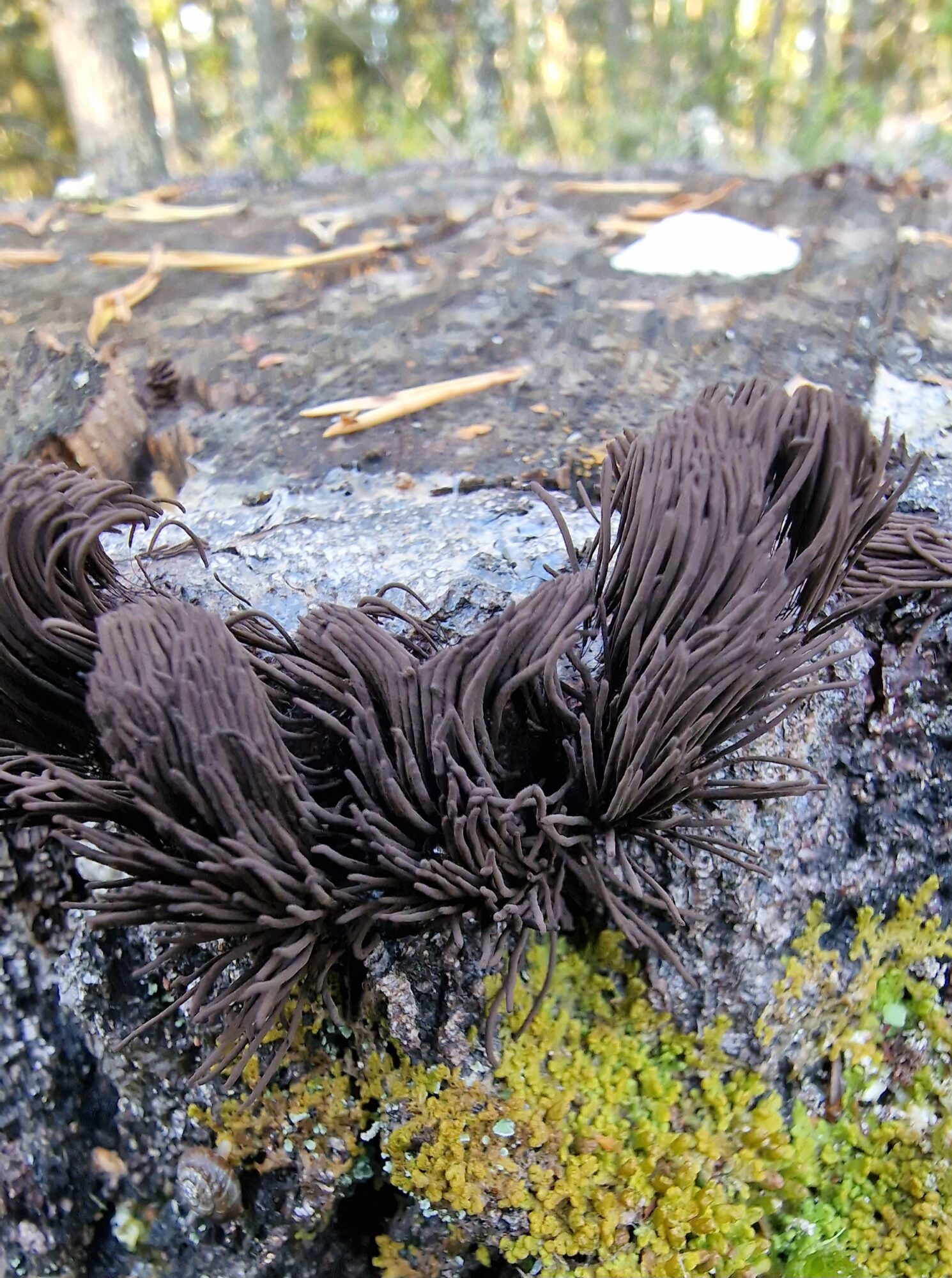 Valokuvaaja: Hanna Rönty