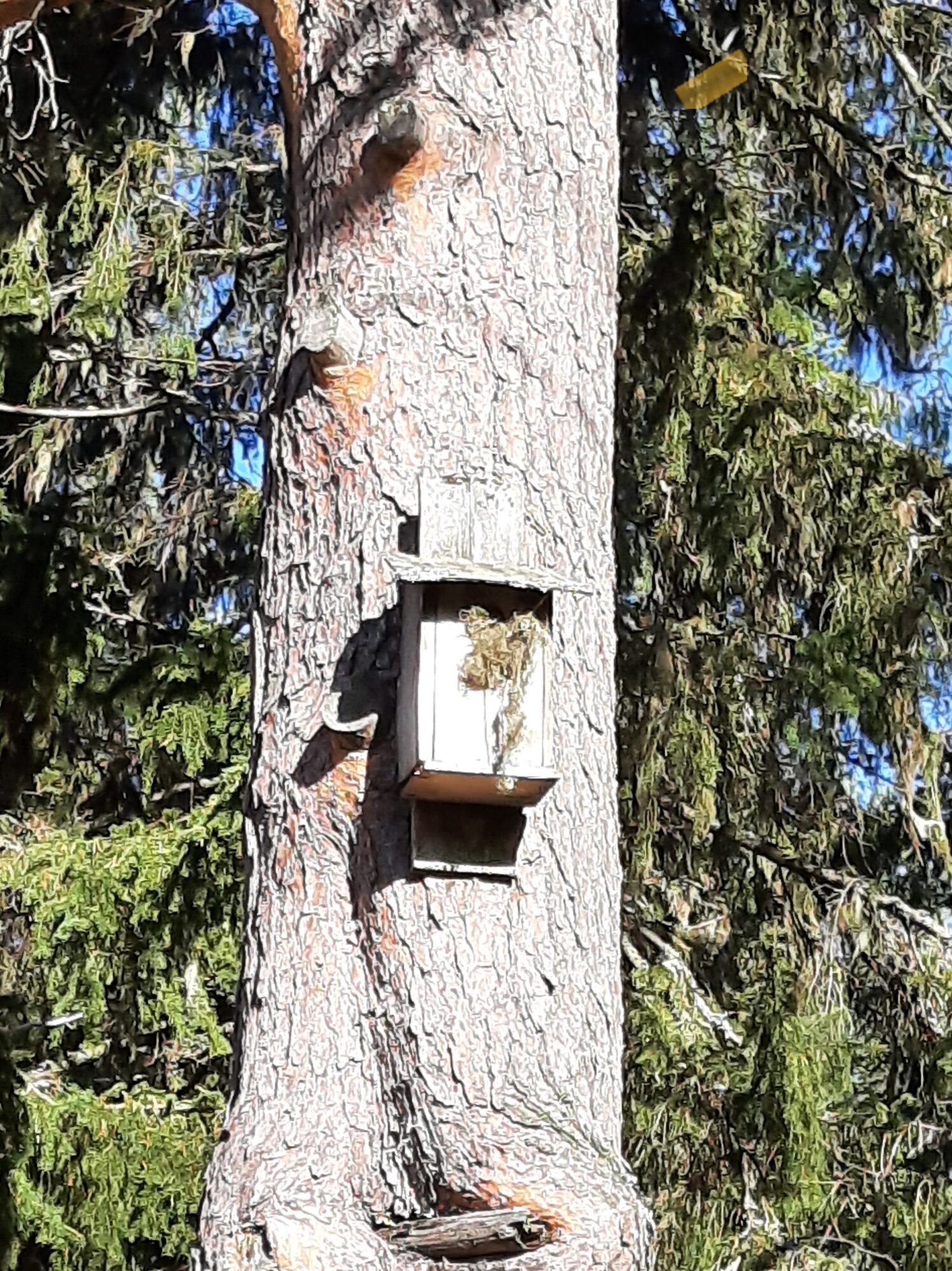 Valokuvaaja: Auli Feldt