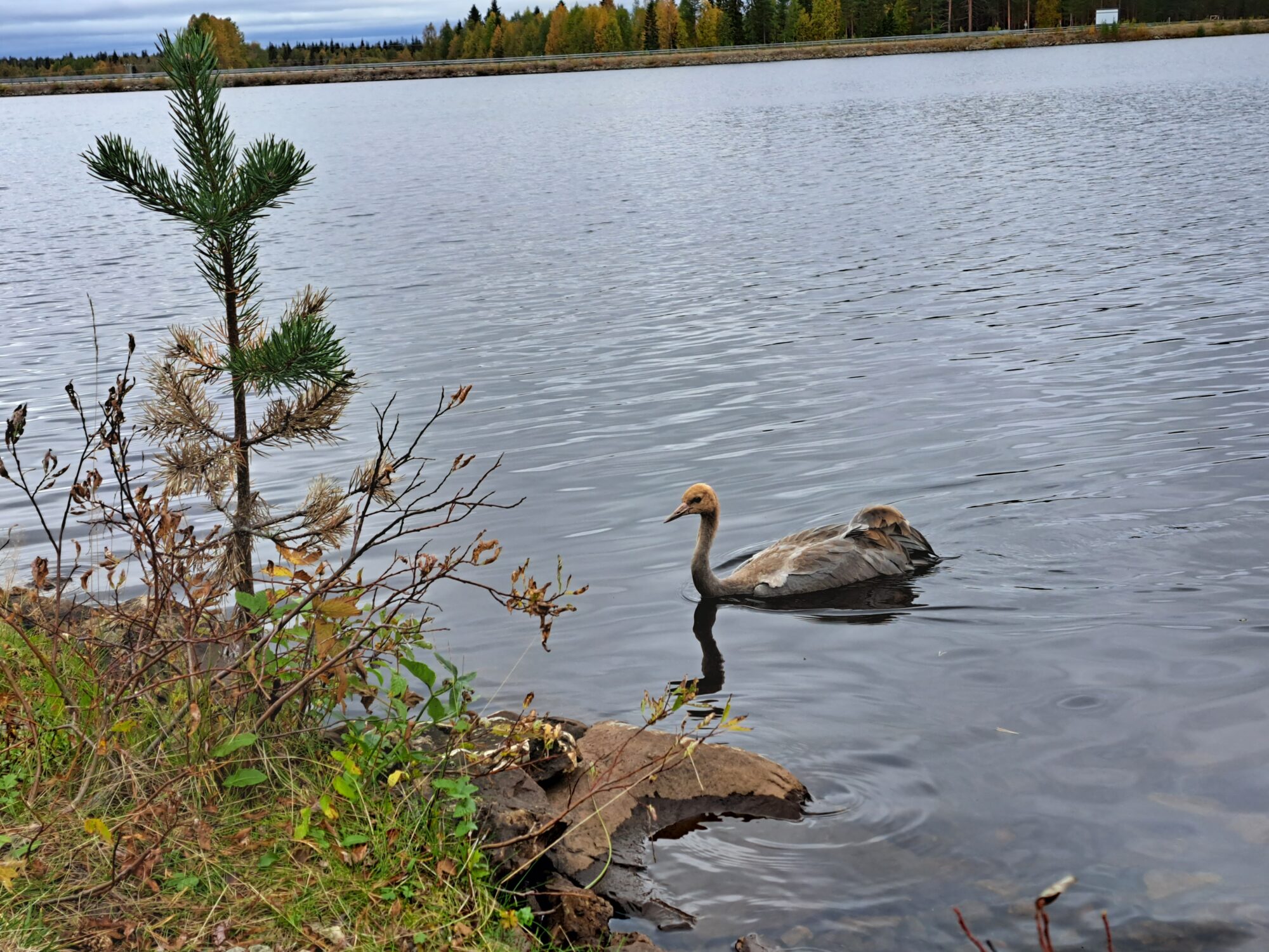 Valokuvaaja: Katarina Löfström