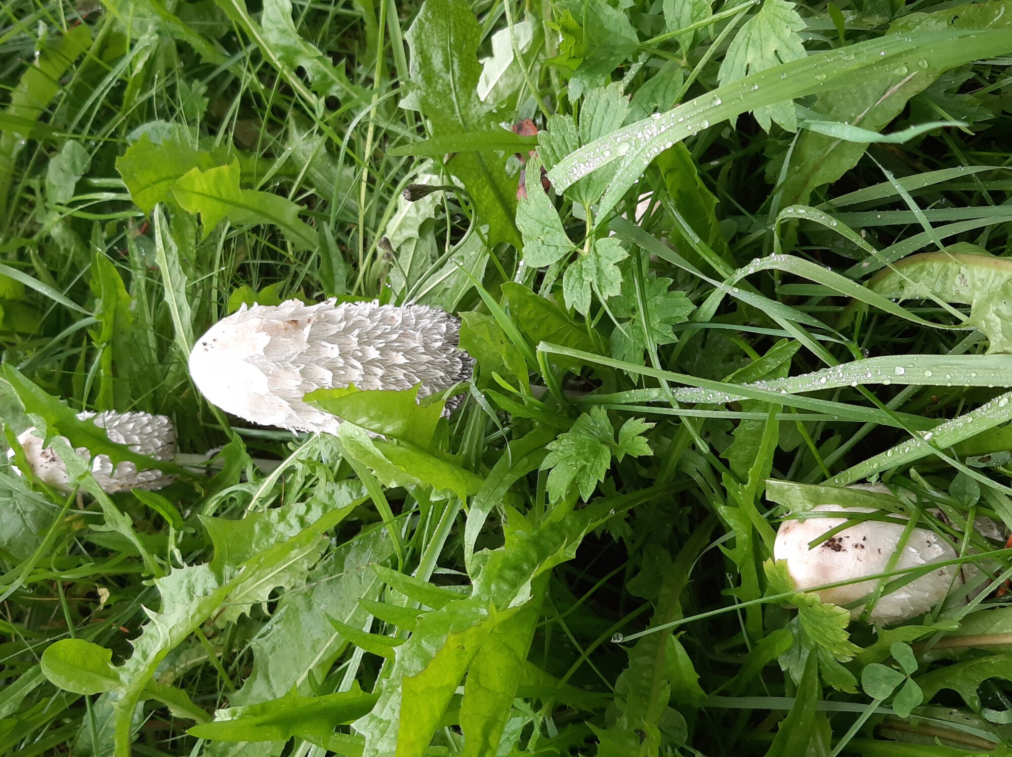 Valokuvaaja: Auli Feldt