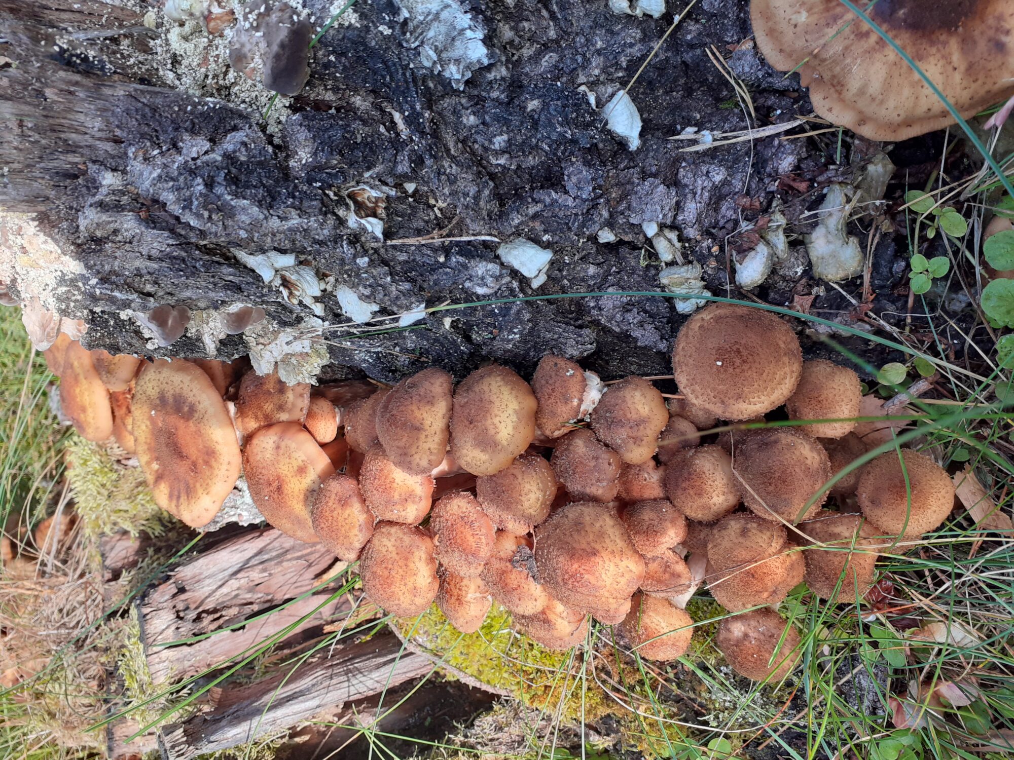 Valokuvaaja: Eeva-Liisa Ilvonen