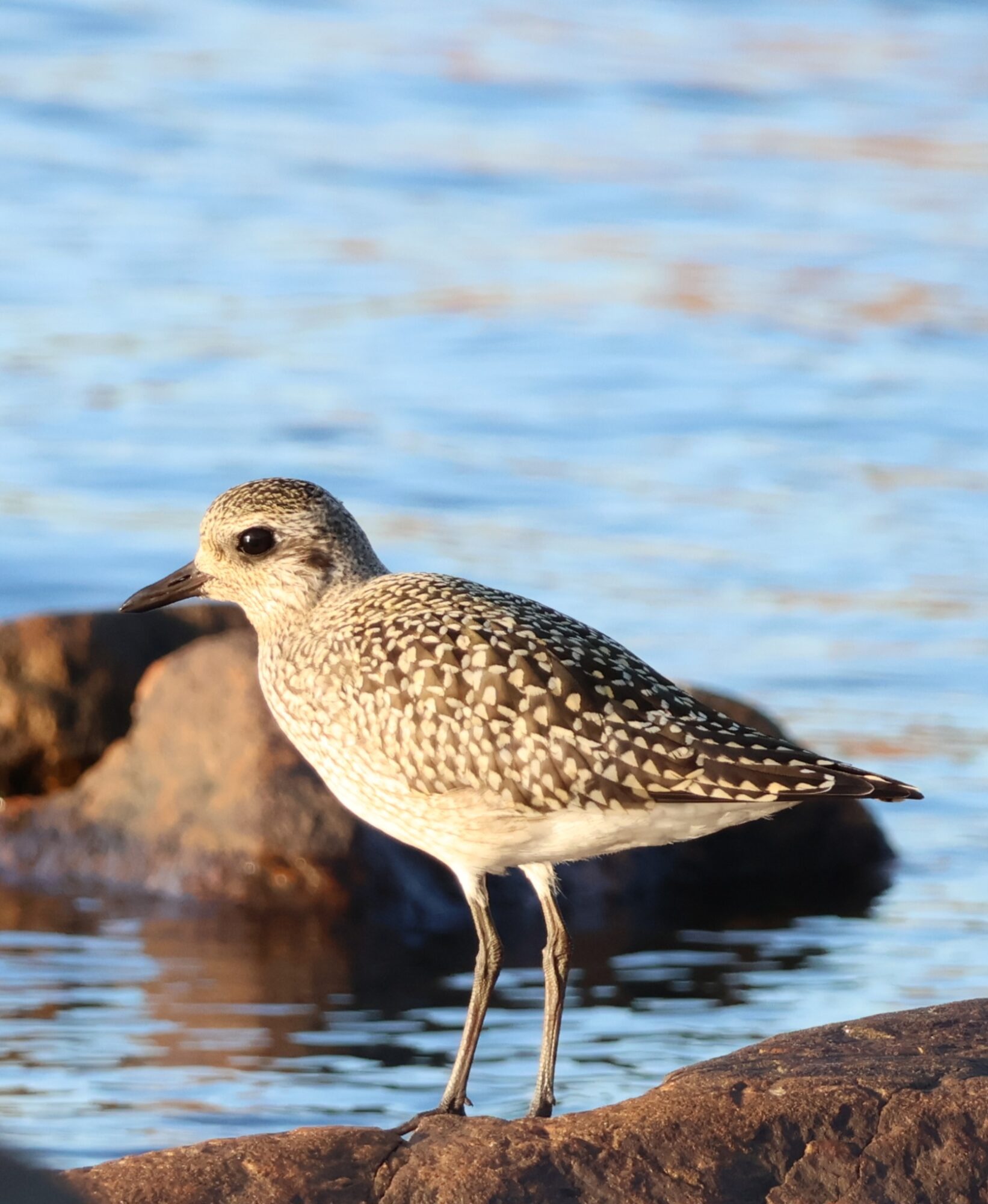 Valokuvaaja: Hanna Rönty