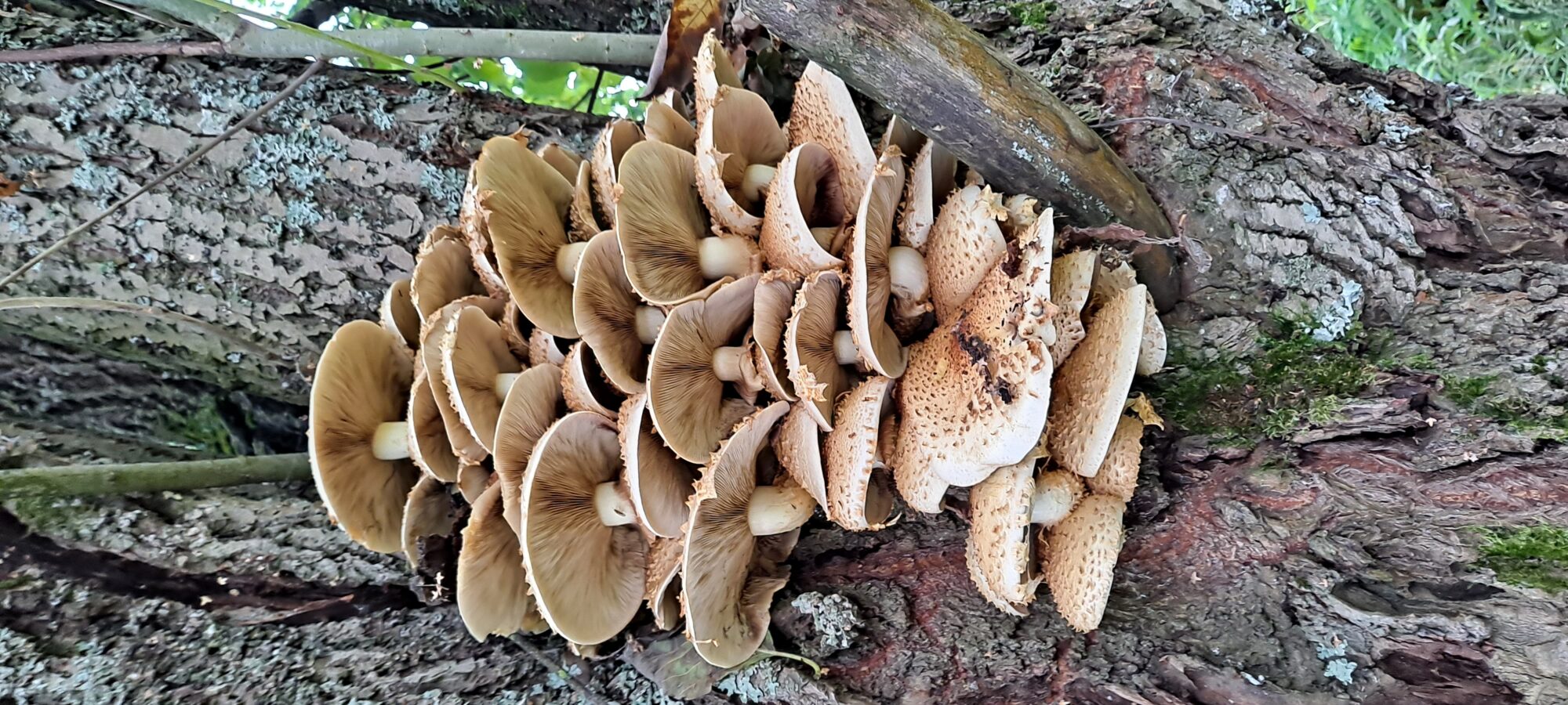 Valokuvaaja: Raisa Vuokola