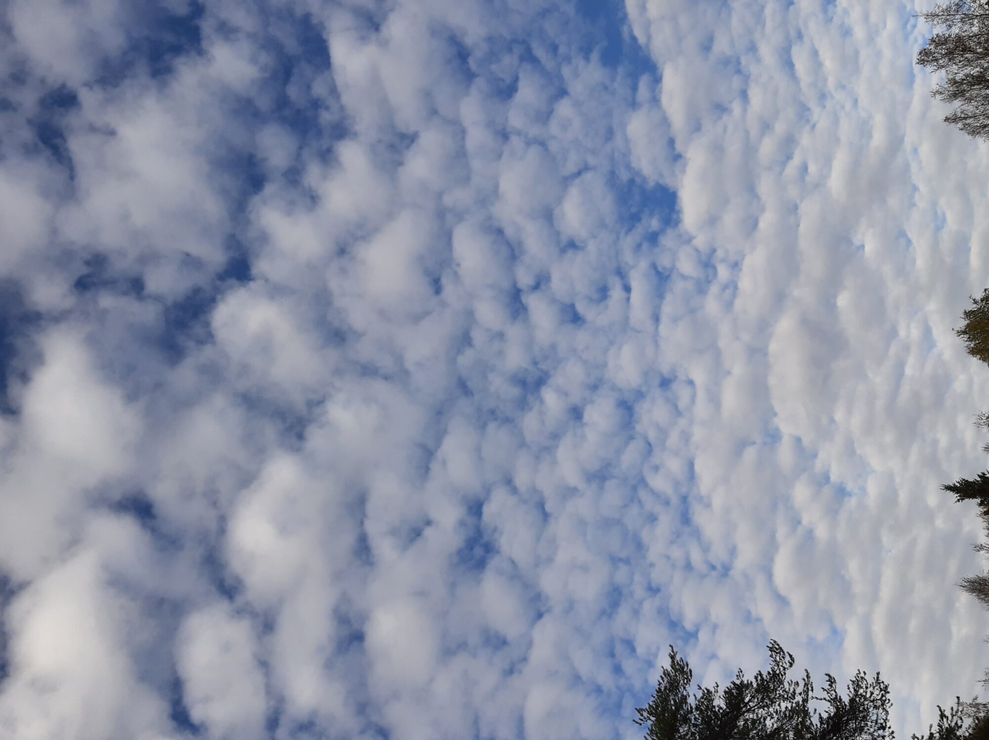 Valokuvaaja: Auli Feldt