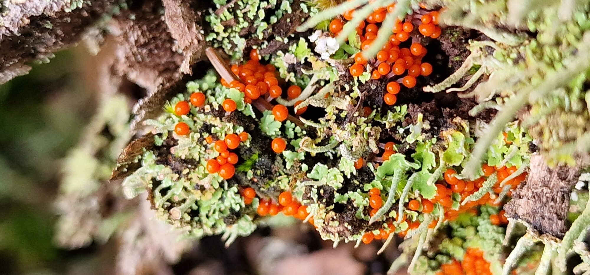 Valokuvaaja: Hanna Rönty