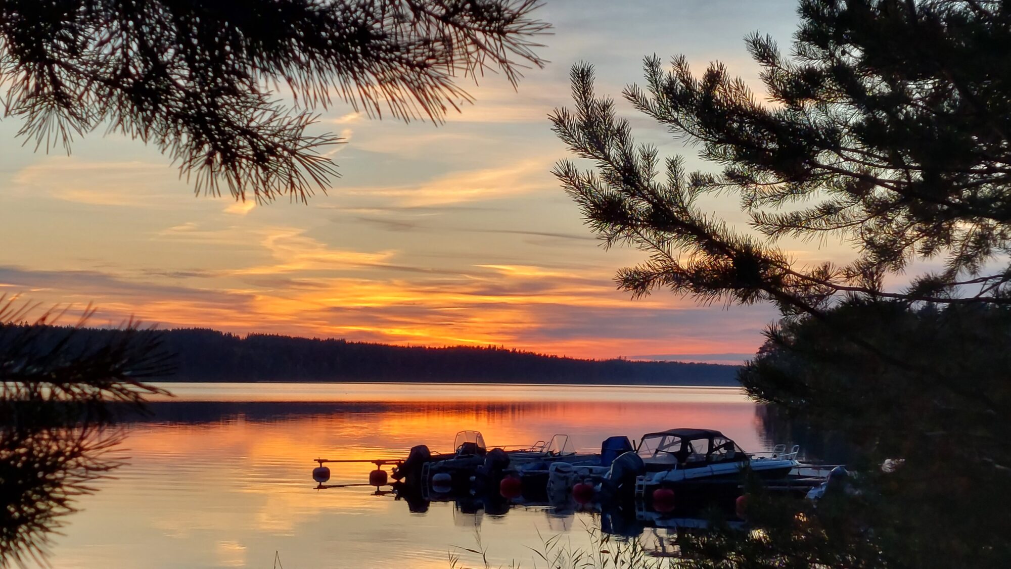 Valokuvaaja: Tarja Naukkarinen