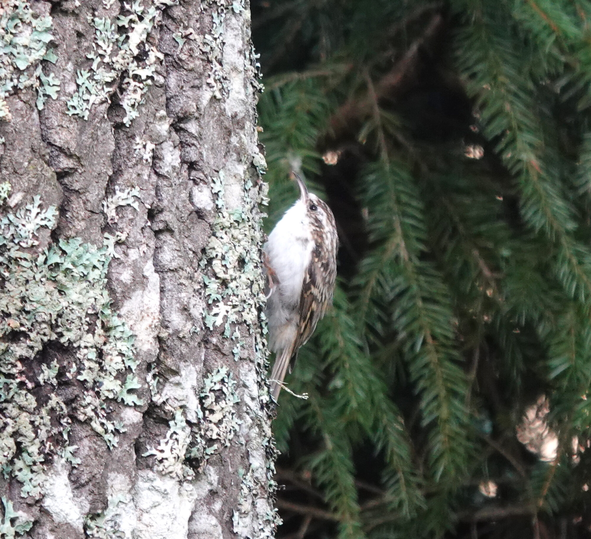 Valokuvaaja: Pekka Heino