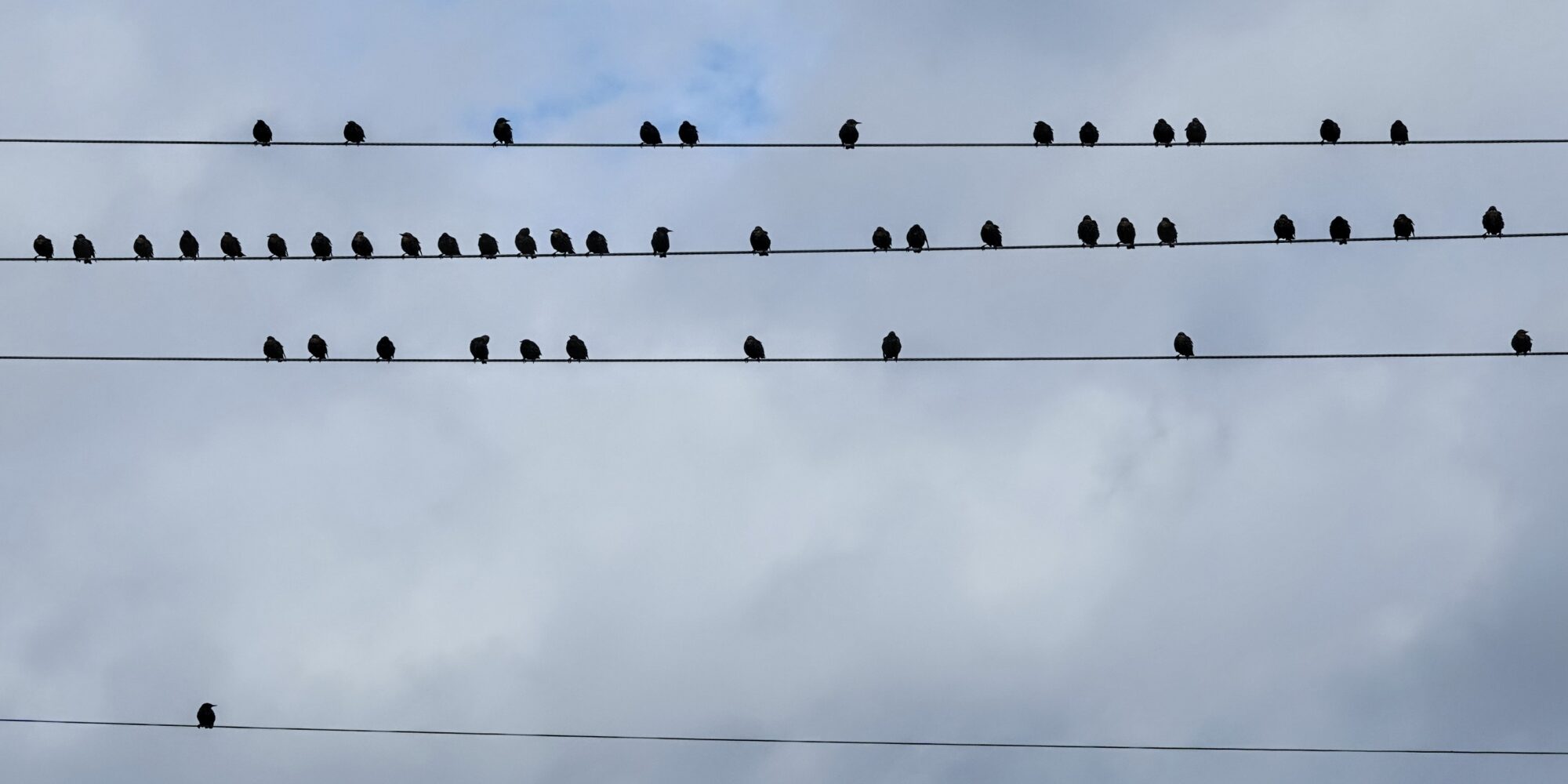 Valokuvaaja: Pekka Heino