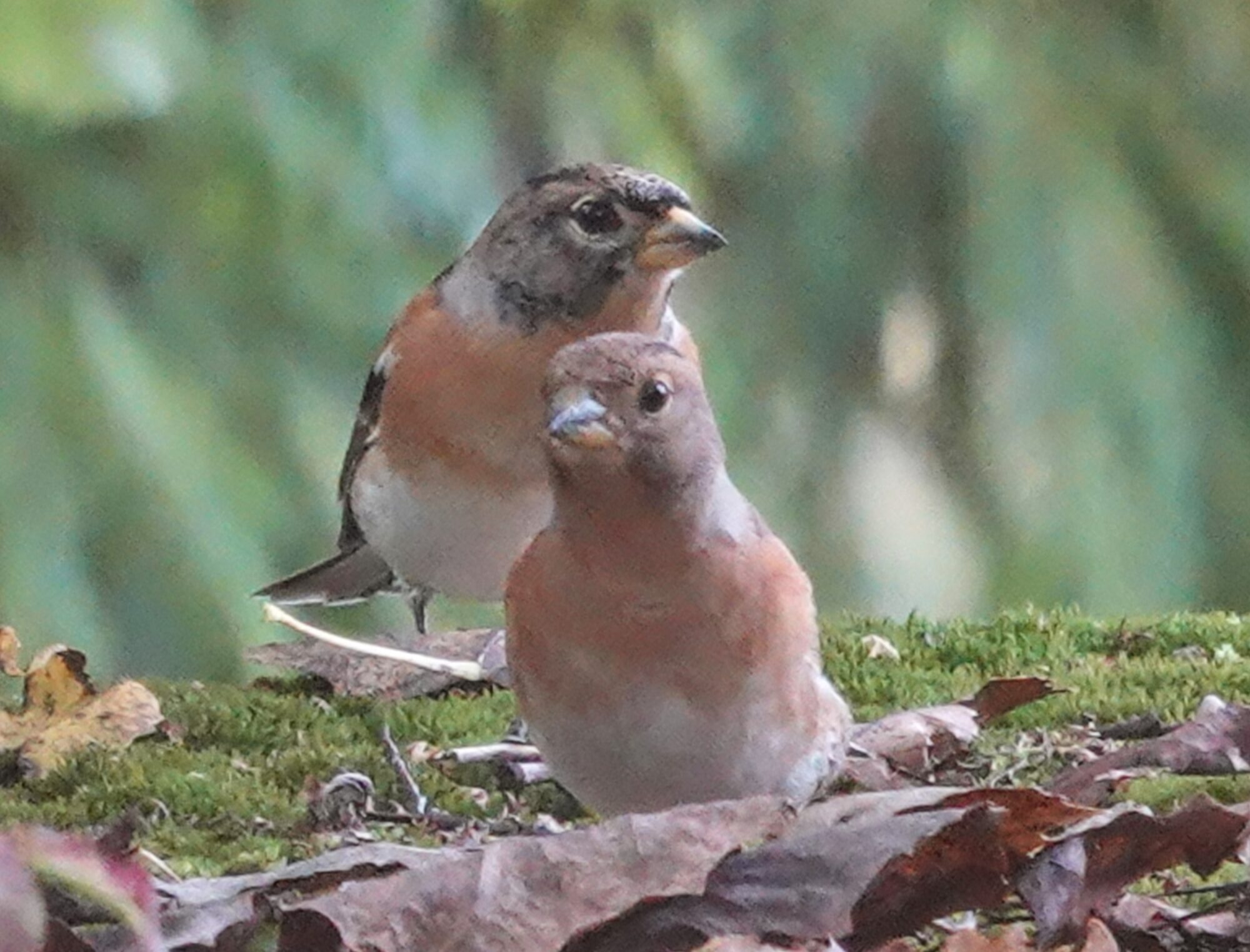 Valokuvaaja: Pekka Heino