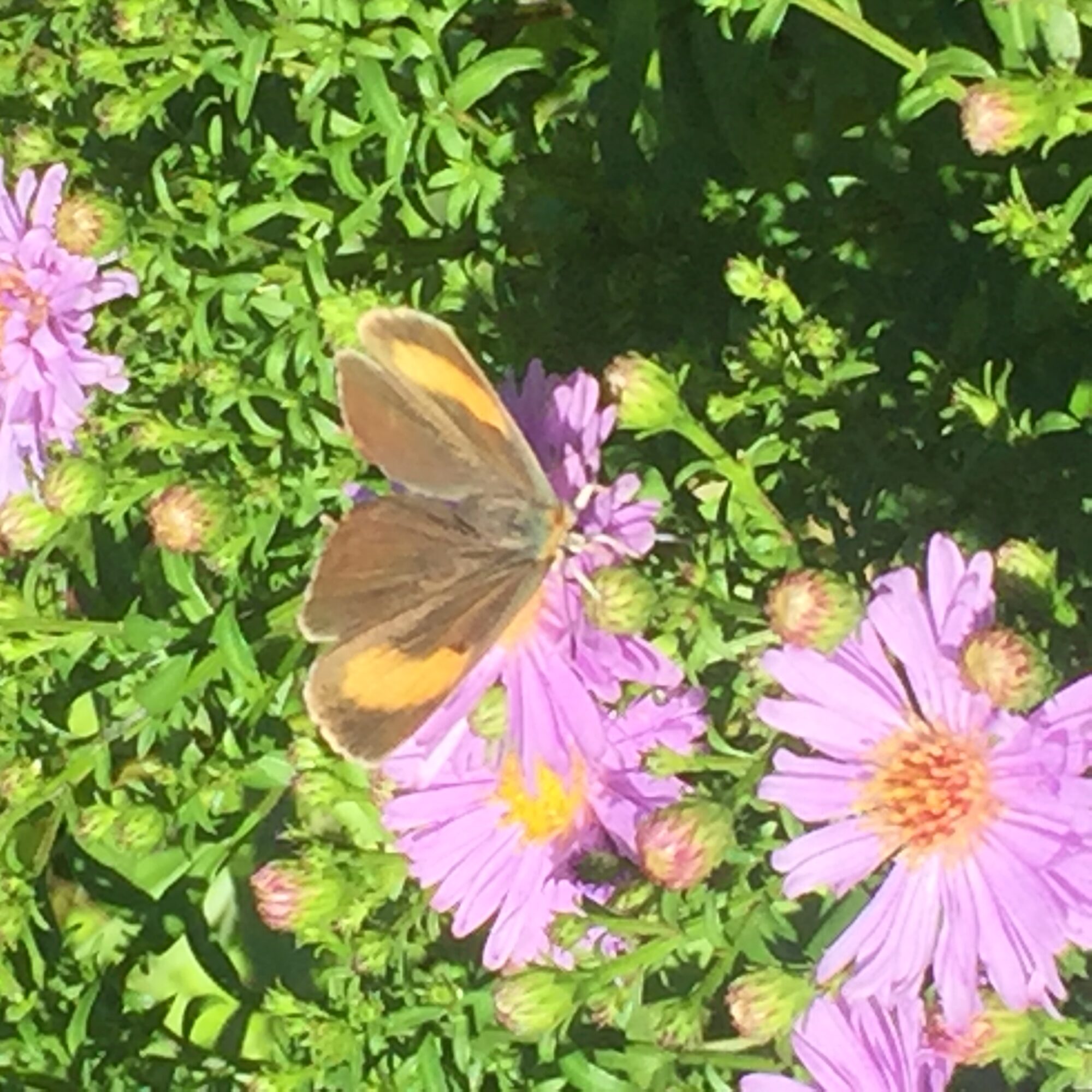 Valokuvaaja: Sari Lindholm