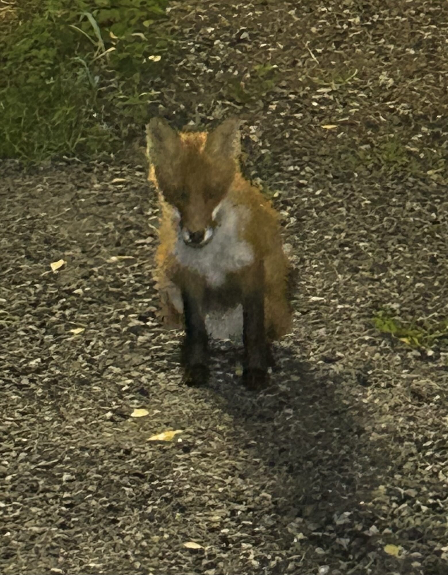 Valokuvaaja: Tapio Keinonen