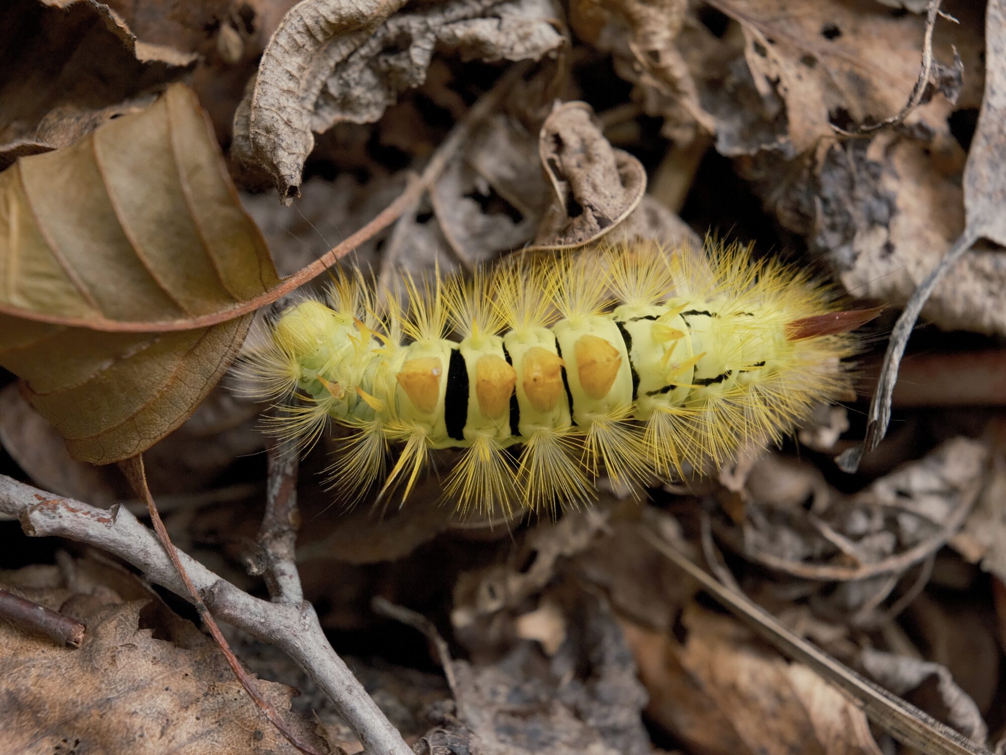 Valokuvaaja: Sampo Kiviniemi