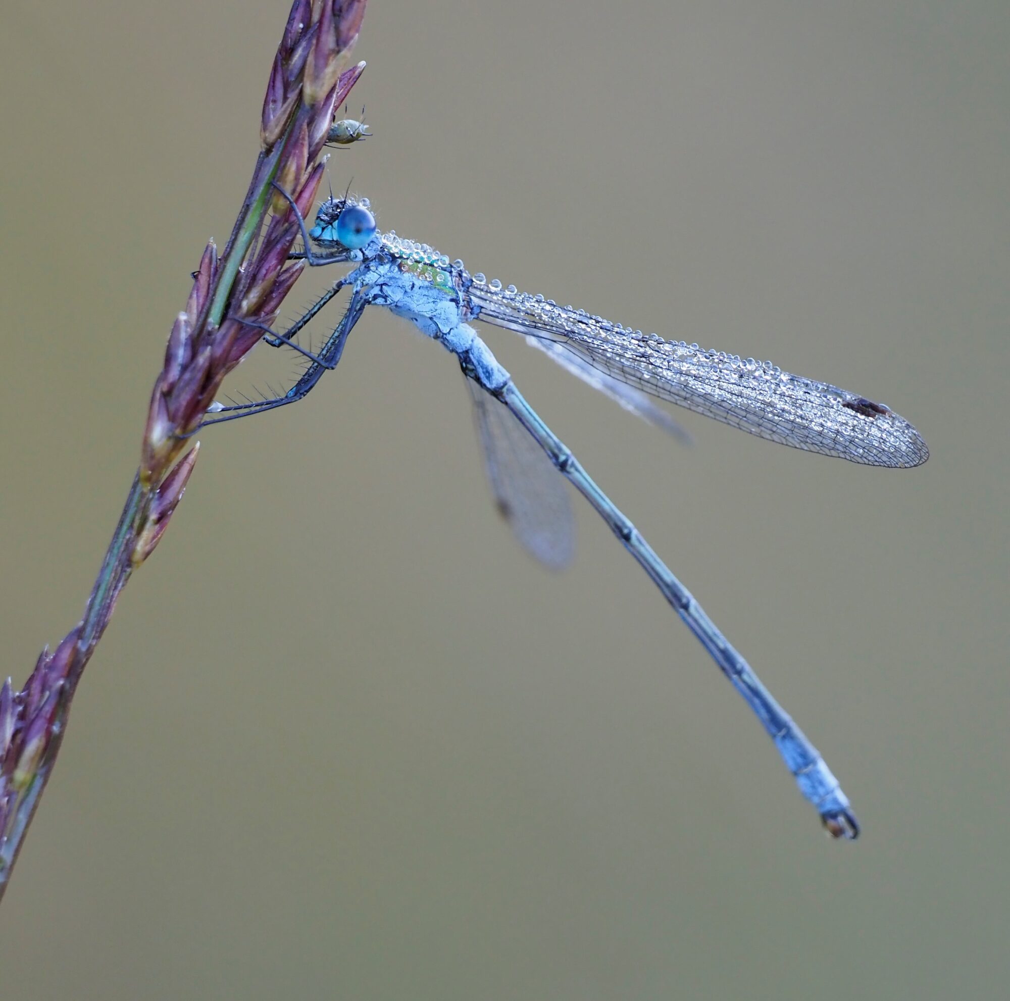 Valokuvaaja: Annikki Kärkkäinen