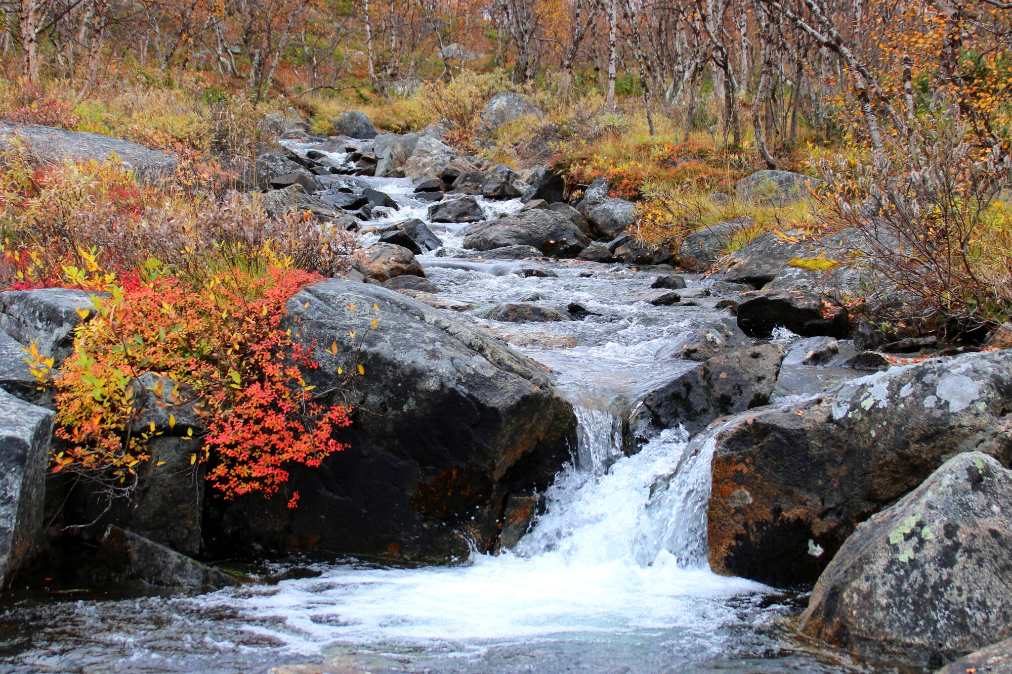 Valokuvaaja: Tuukka Pahtamaa