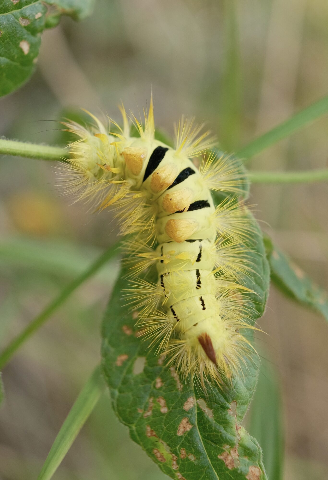 Valokuvaaja: Sampo Kiviniemi