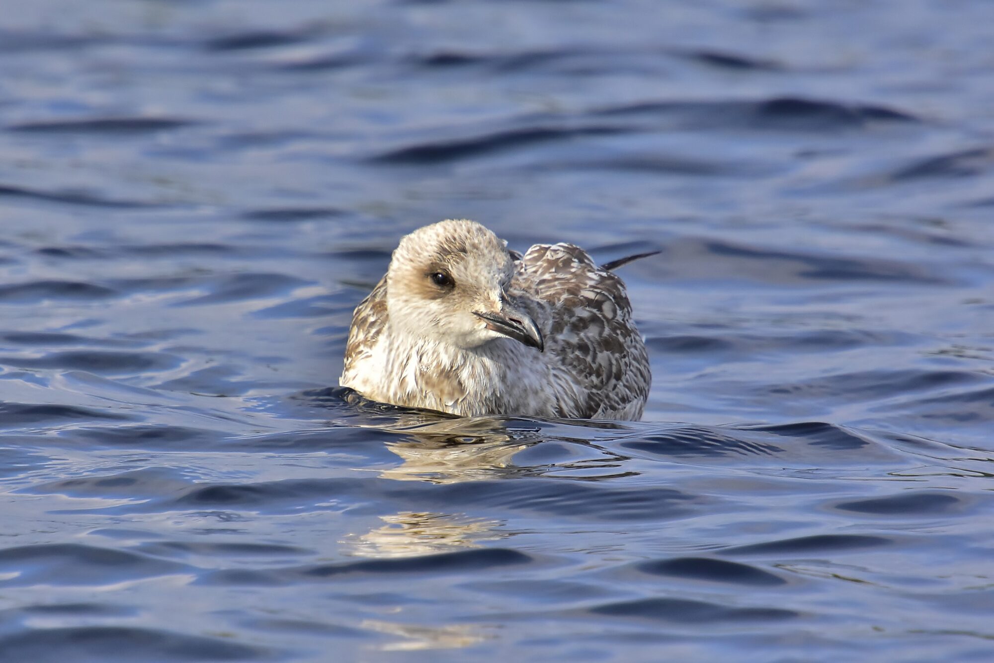 Valokuvaaja: Markku Pelkonen