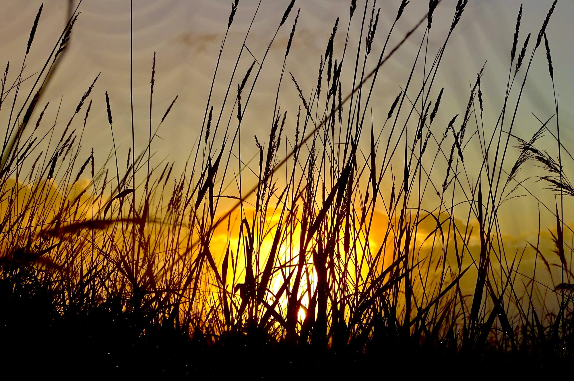 Valokuvaaja: Juhani Peltonen