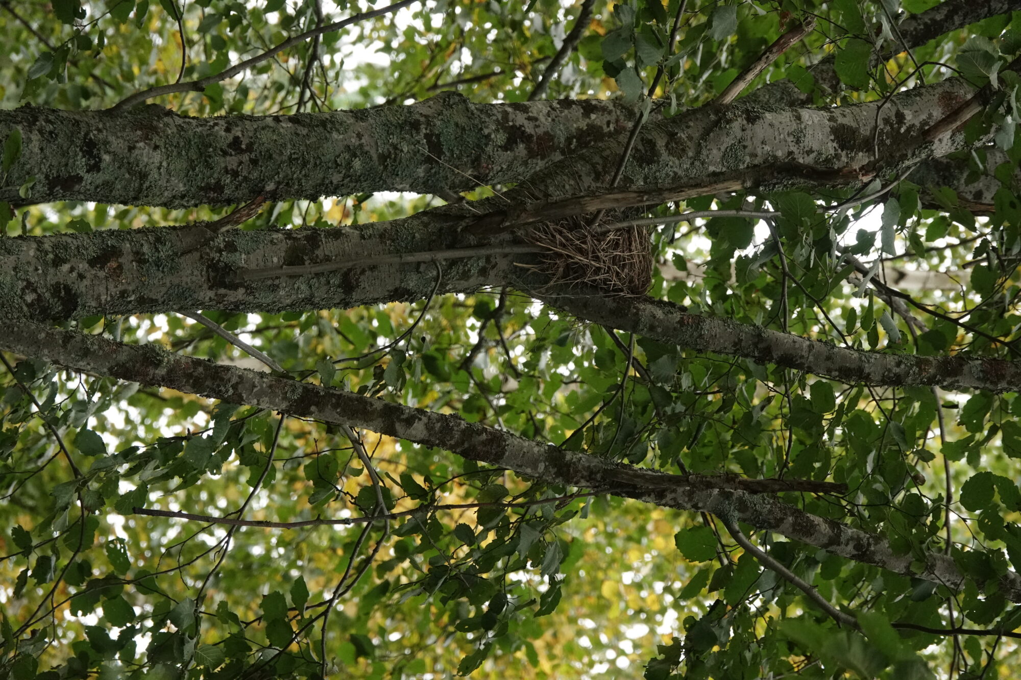 Valokuvaaja: jenna Pitkänen
