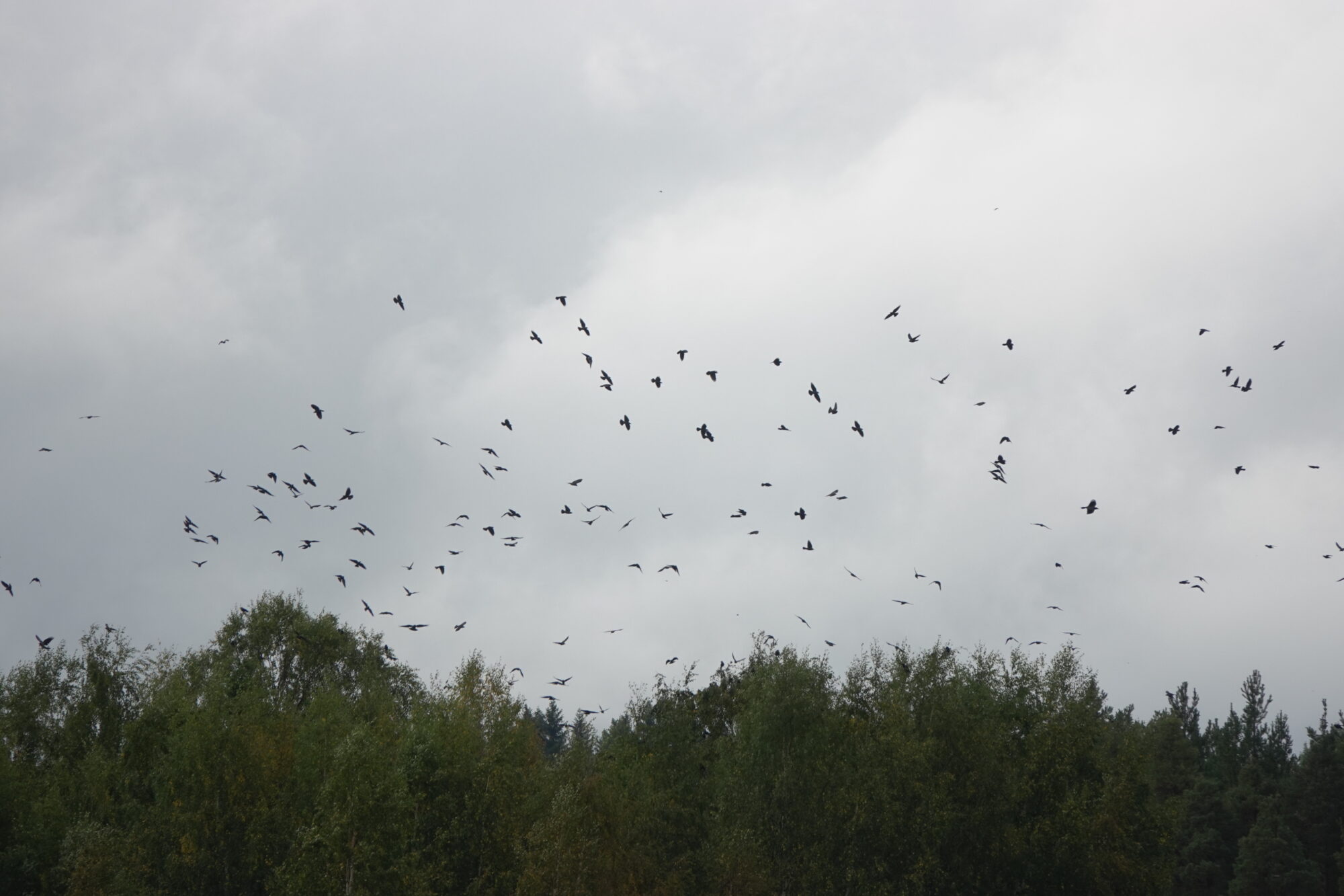 Valokuvaaja: Jenna Pitkänen Valokuvaaja: Jenna Pitkänen