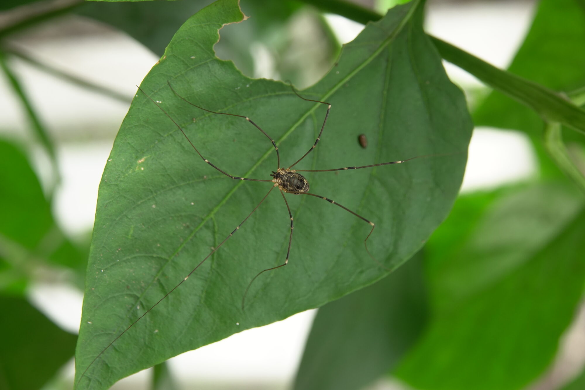 Valokuvaaja: Jenna Pitkänen Valokuvaaja: Jenna Pitkänen