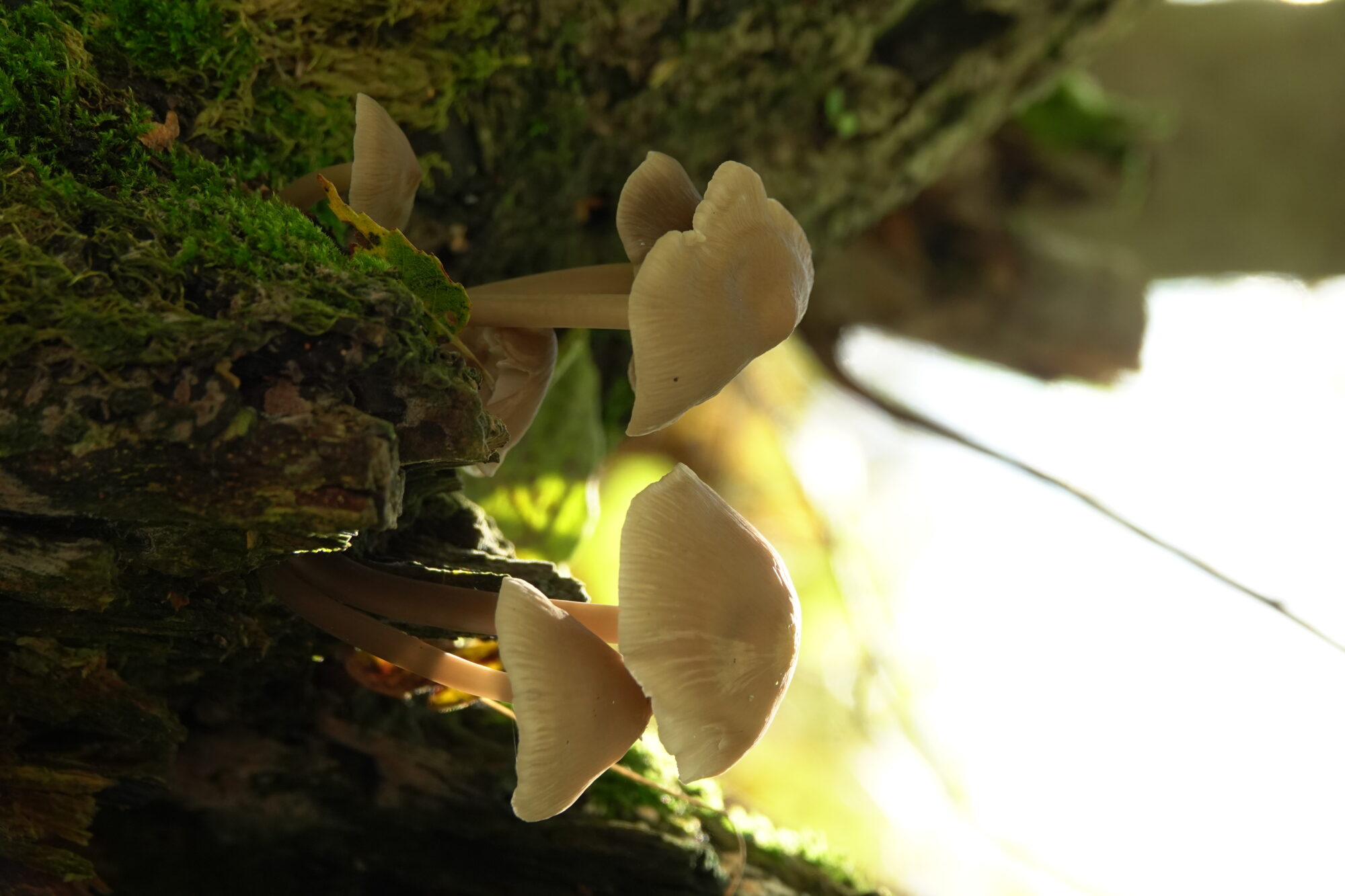 Valokuvaaja: Jenna Pitkänen