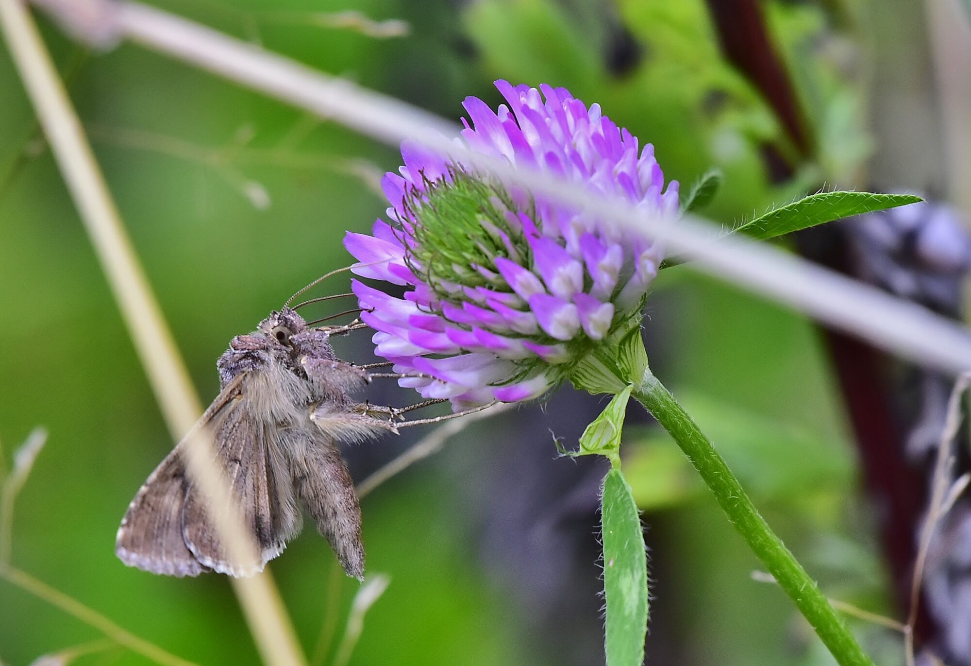 Valokuvaaja: Markku Pelkonen