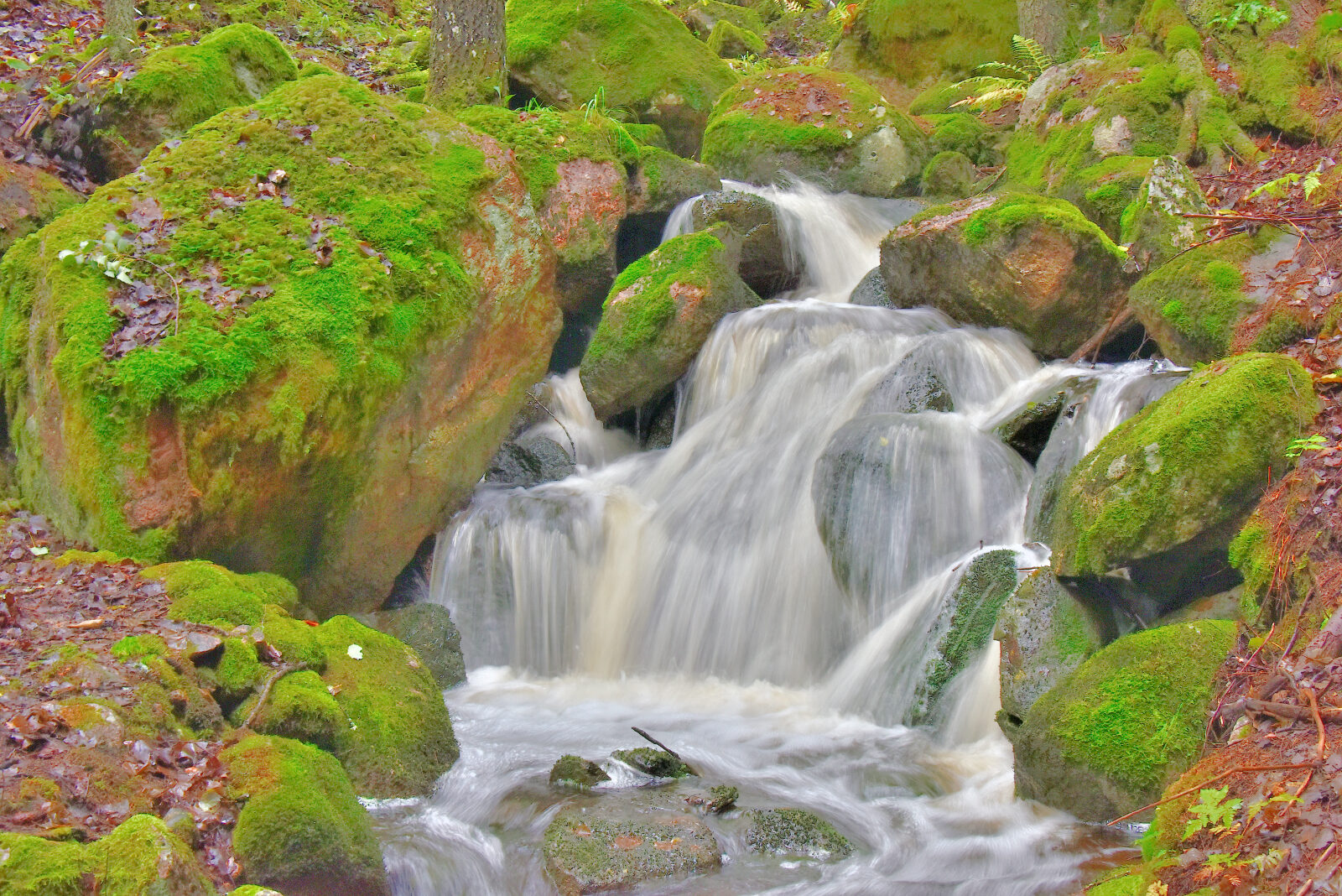 Valokuvaaja: Reijo Juurinen