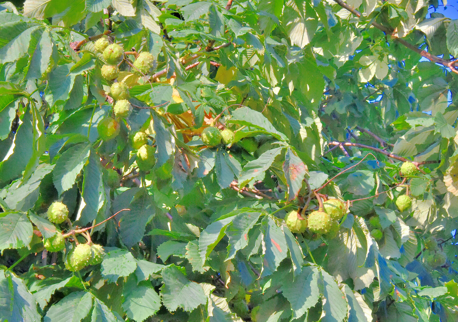 Valokuvaaja: Reijo Juurinen