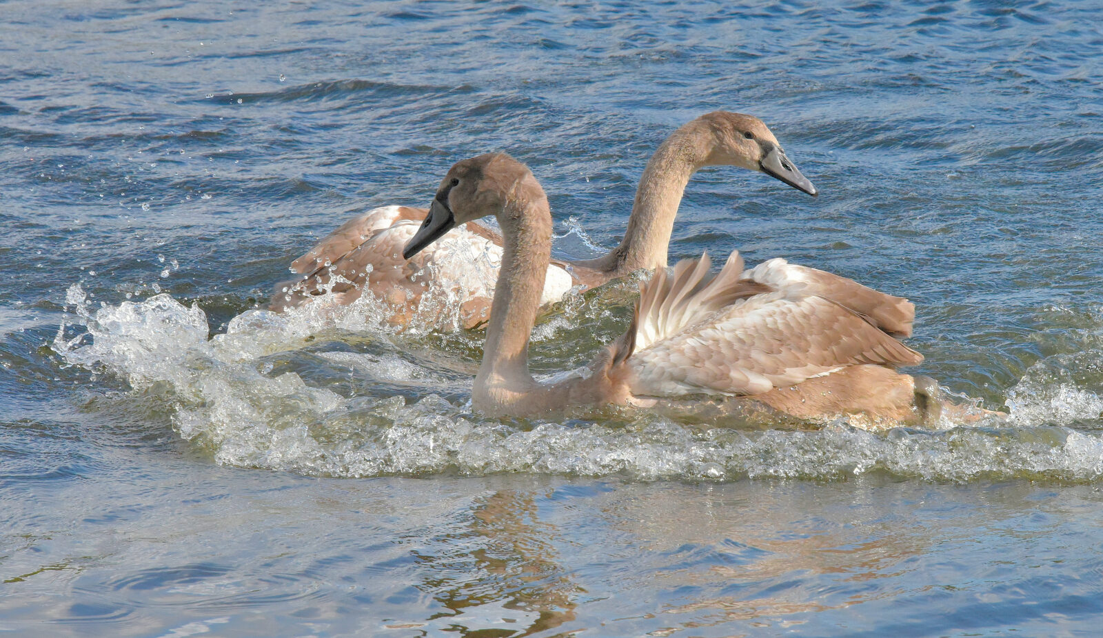 Valokuvaaja: Reijo Juurinen
