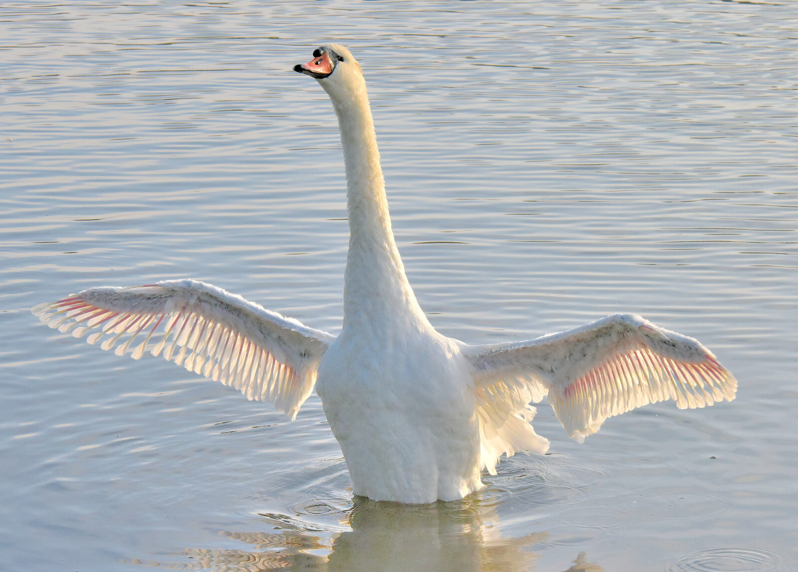 Valokuvaaja: Reijo Juurinen
