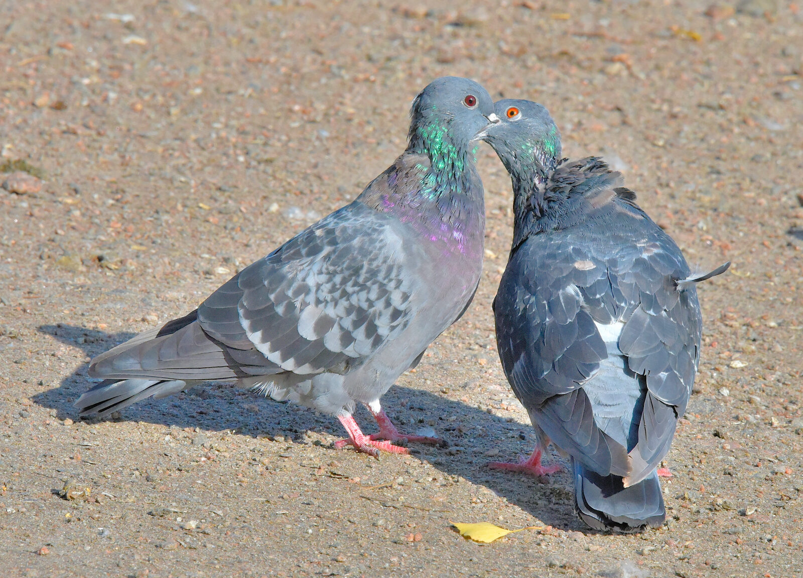 Valokuvaaja: Reijo Juurinen