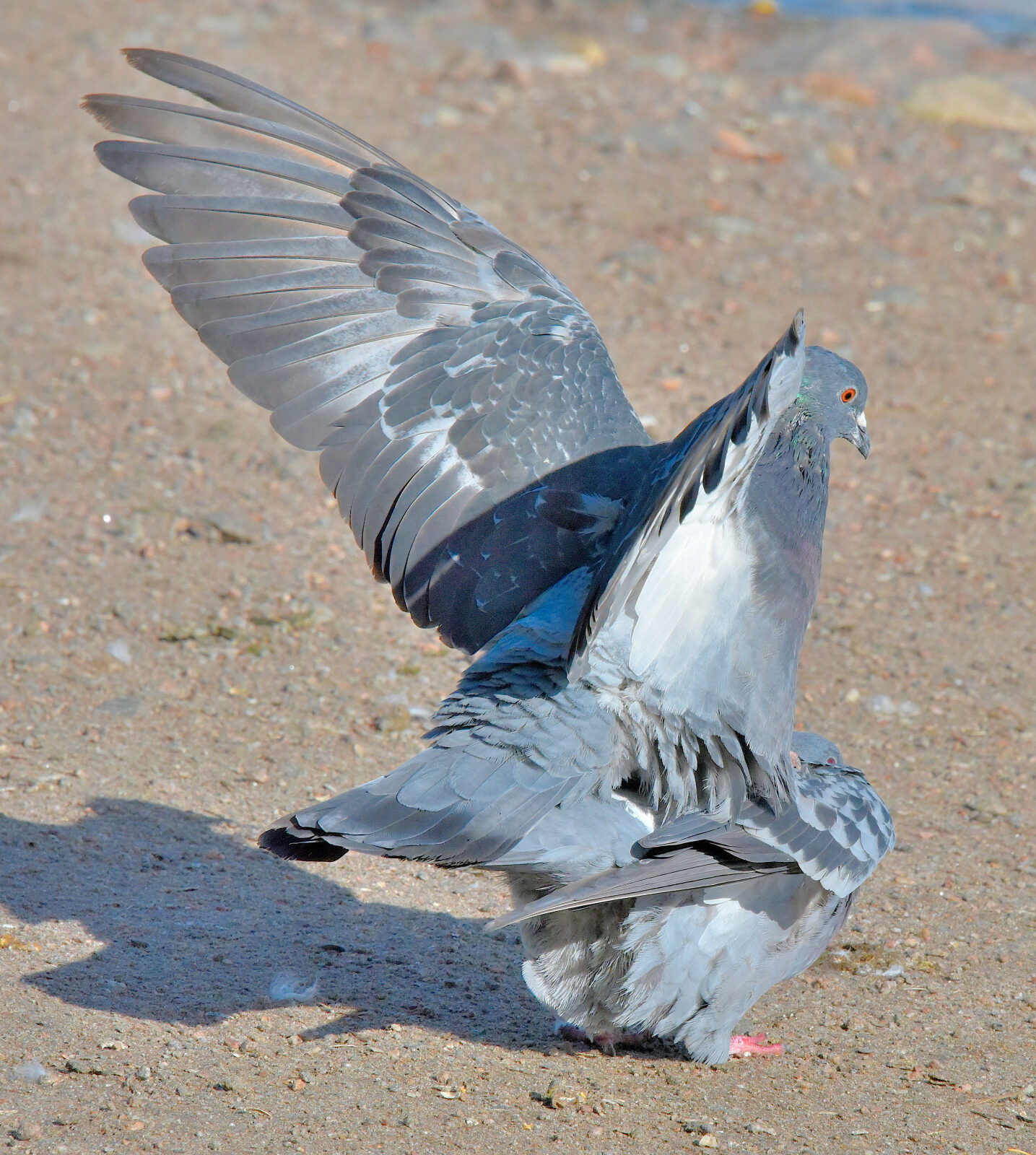Valokuvaaja: Reijo Juurinen