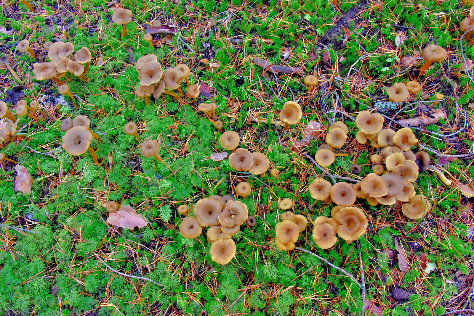 Valokuvaaja: Reijo Juurinen