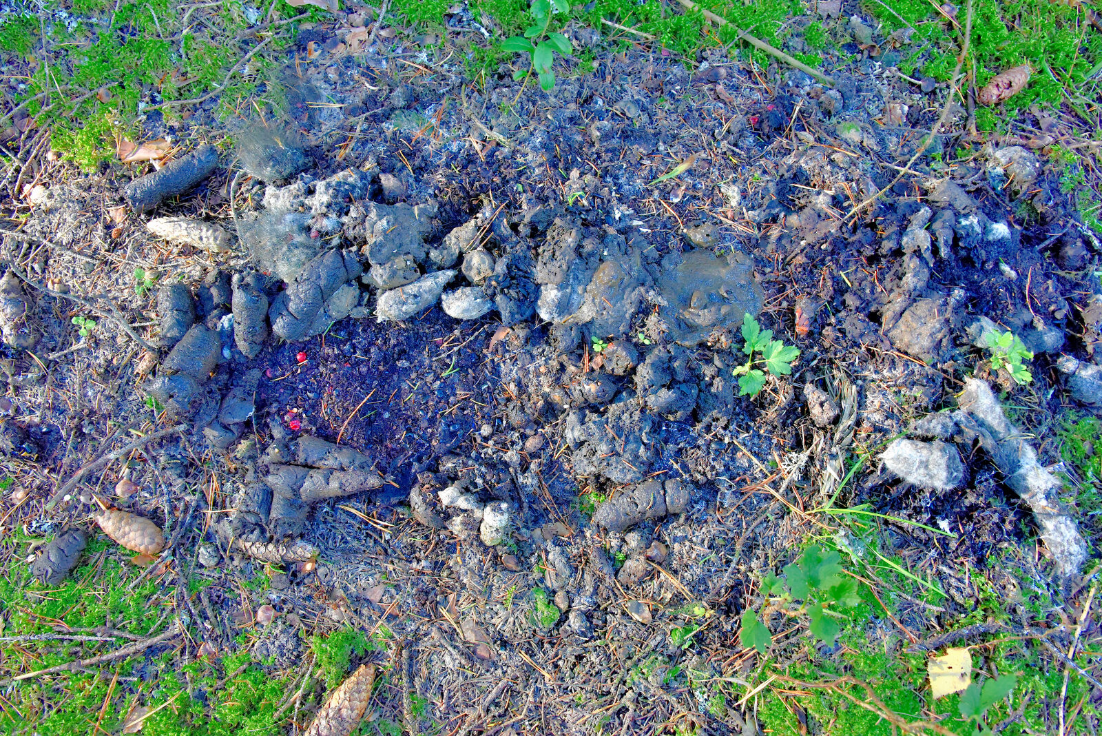 Valokuvaaja: Reijo Juurinen