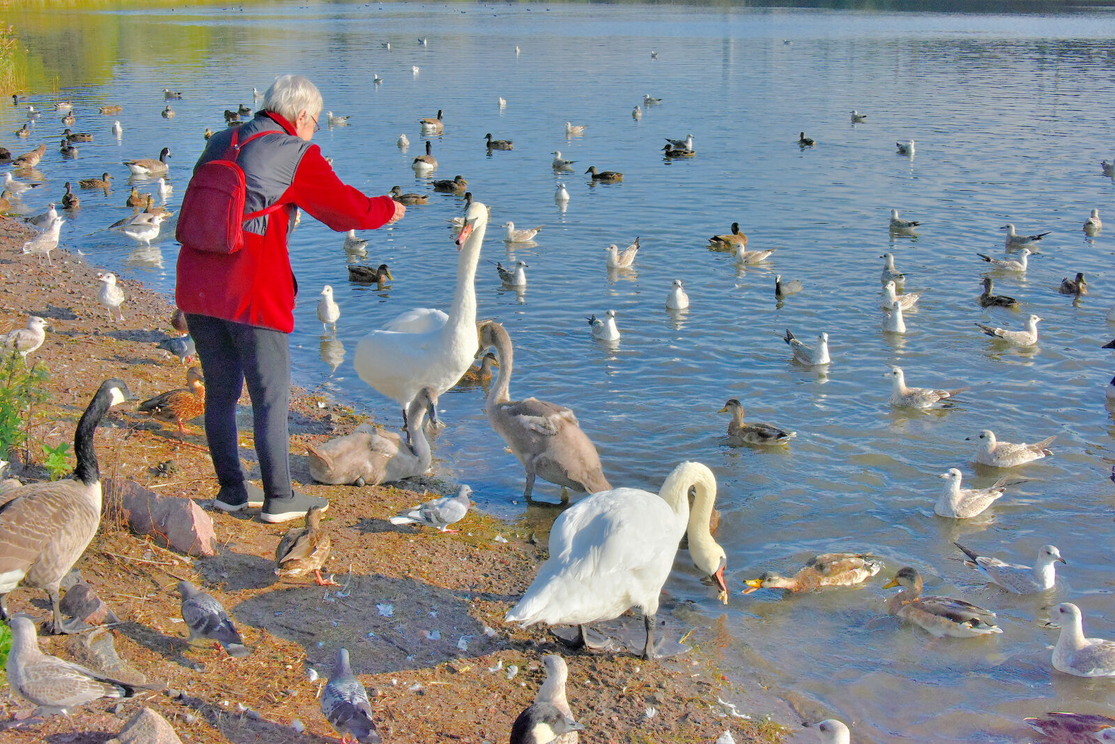 Valokuvaaja: Reijo Juurinen