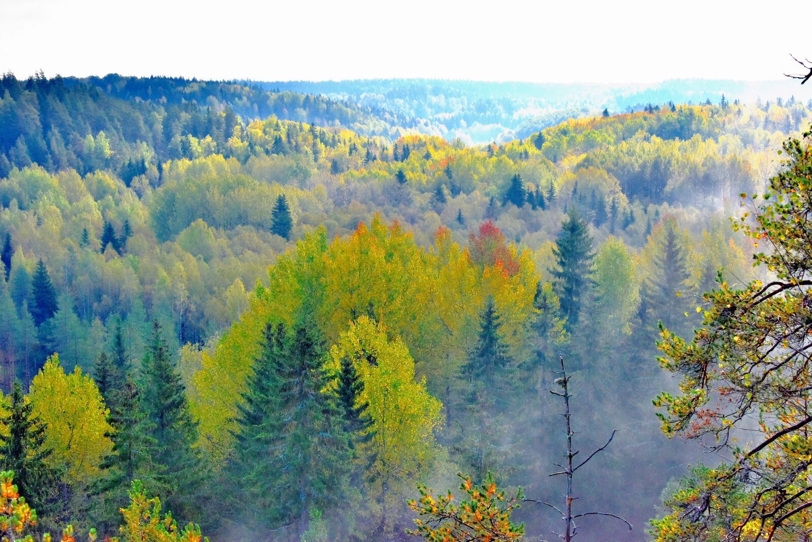 Valokuvaaja: Reijo Juurinen
