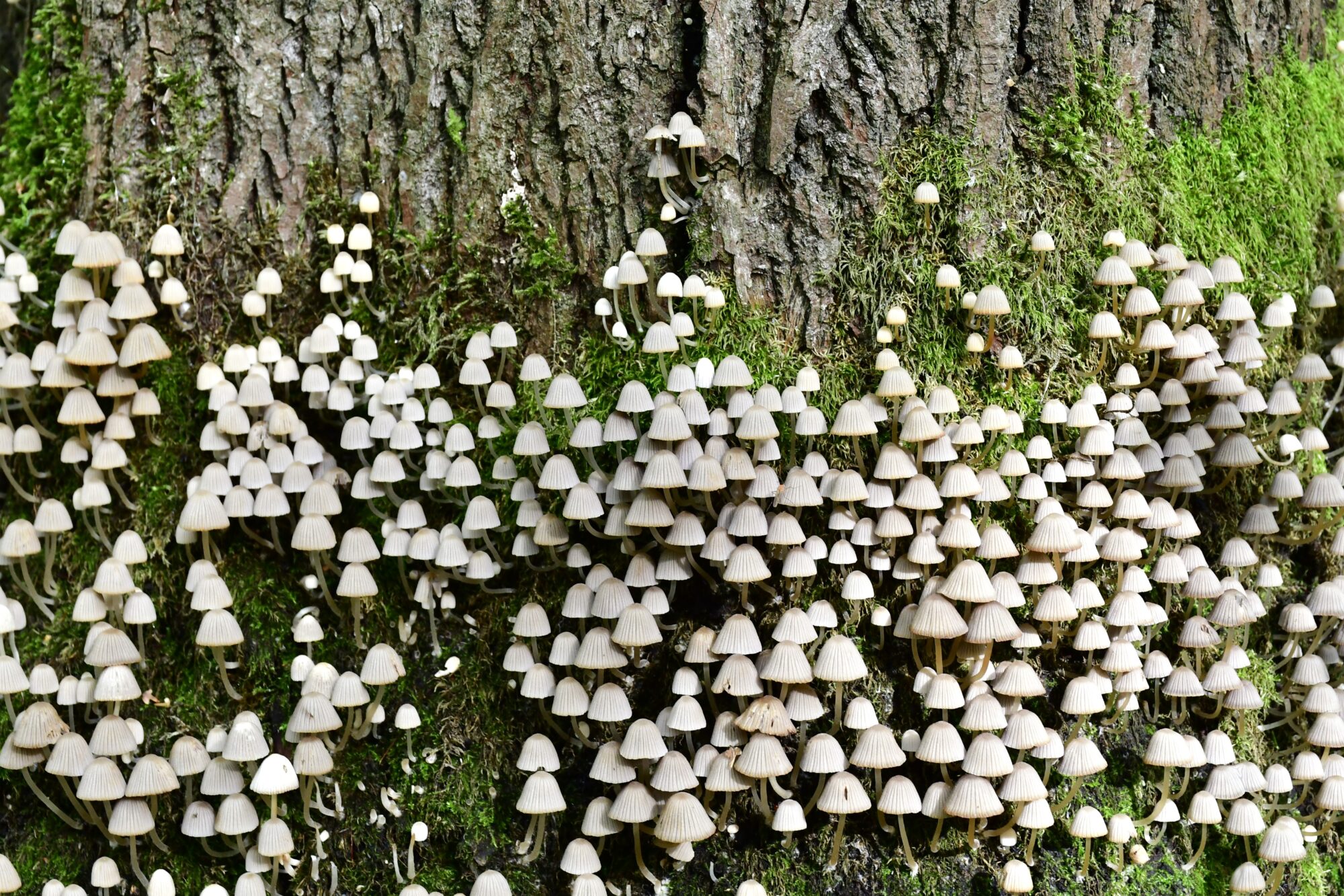 Valokuvaaja: Maarit Siitonen