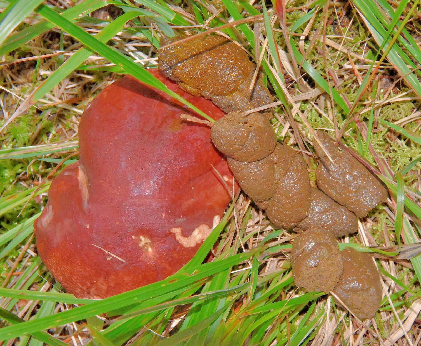 Valokuvaaja: Reijo Juurinen Valokuvaaja: Reijo Juurinen