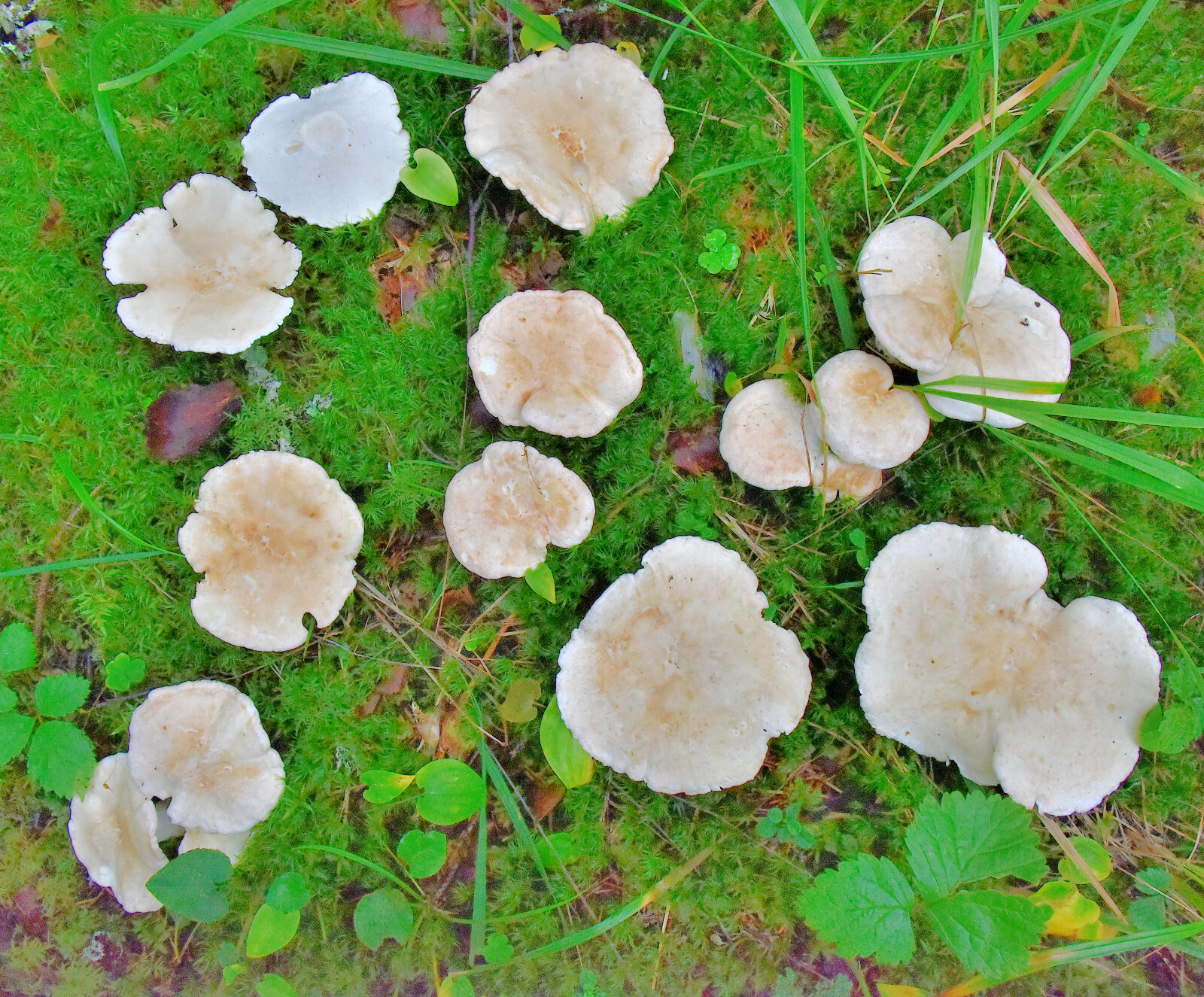 Valokuvaaja: Reijo Juurinen