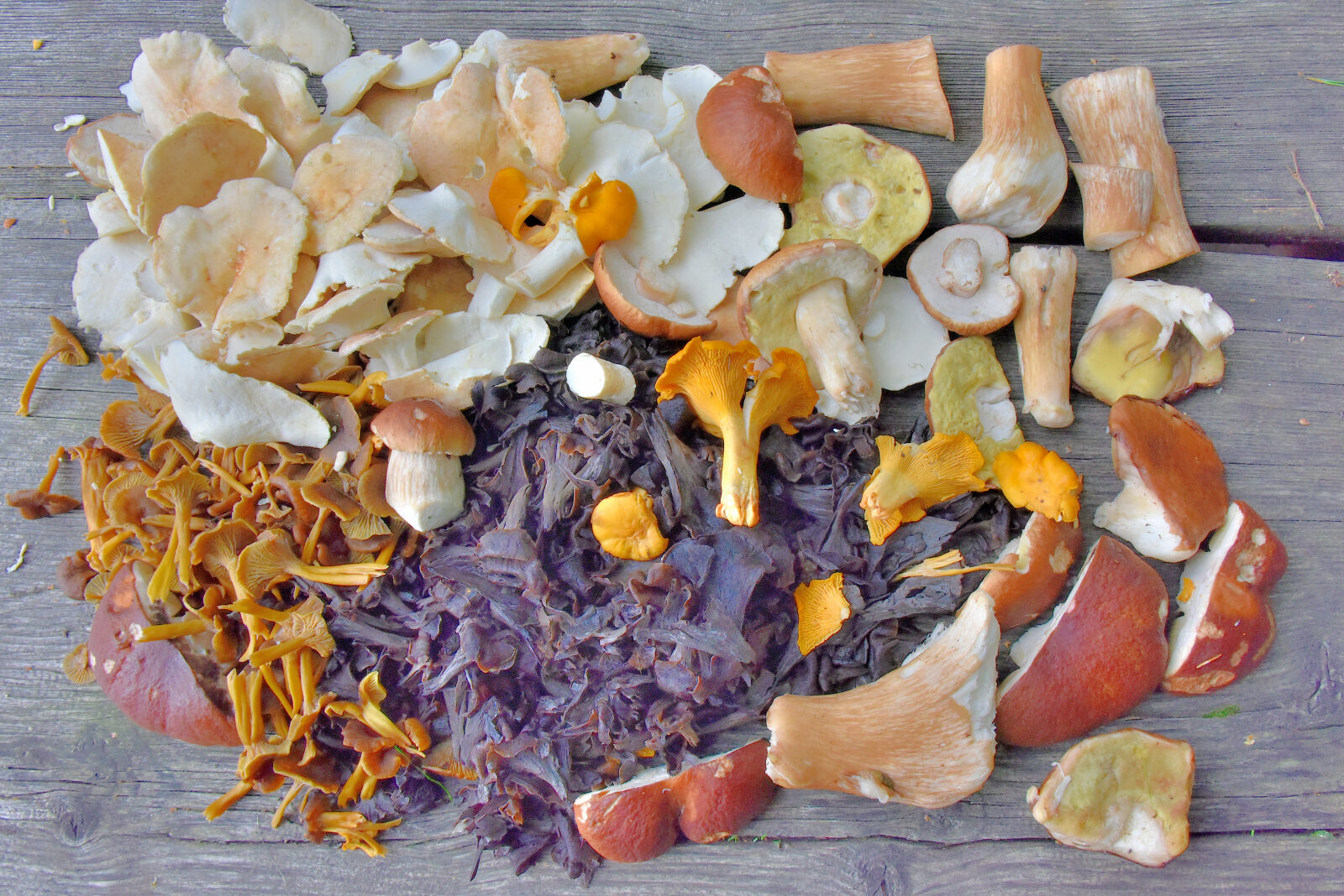 Valokuvaaja: Reijo Juurinen