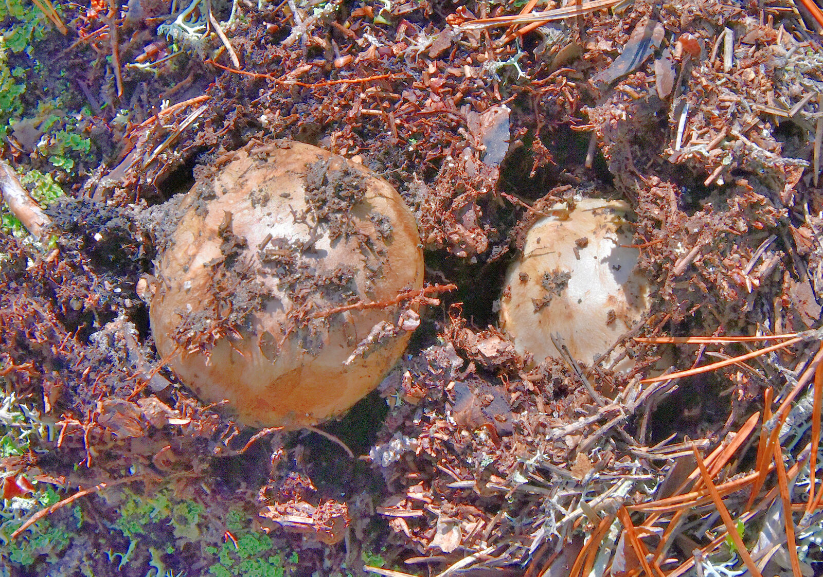 Valokuvaaja: Reijo Juurinen