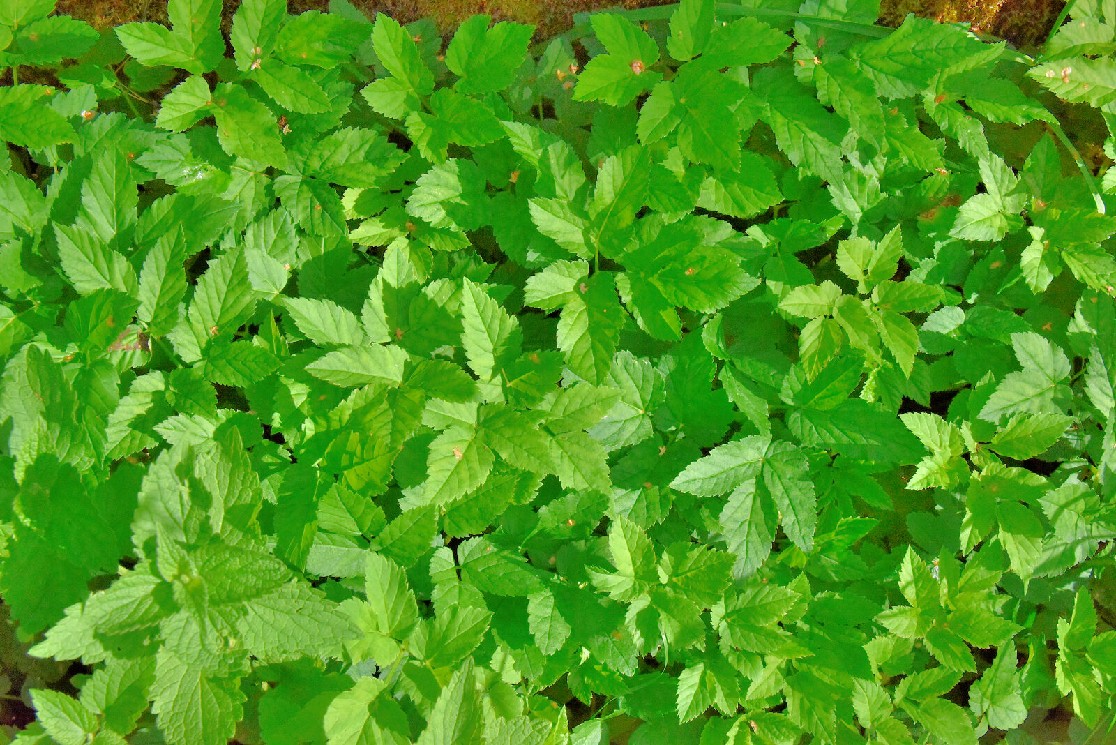 Valokuvaaja: Reijo Juurinen