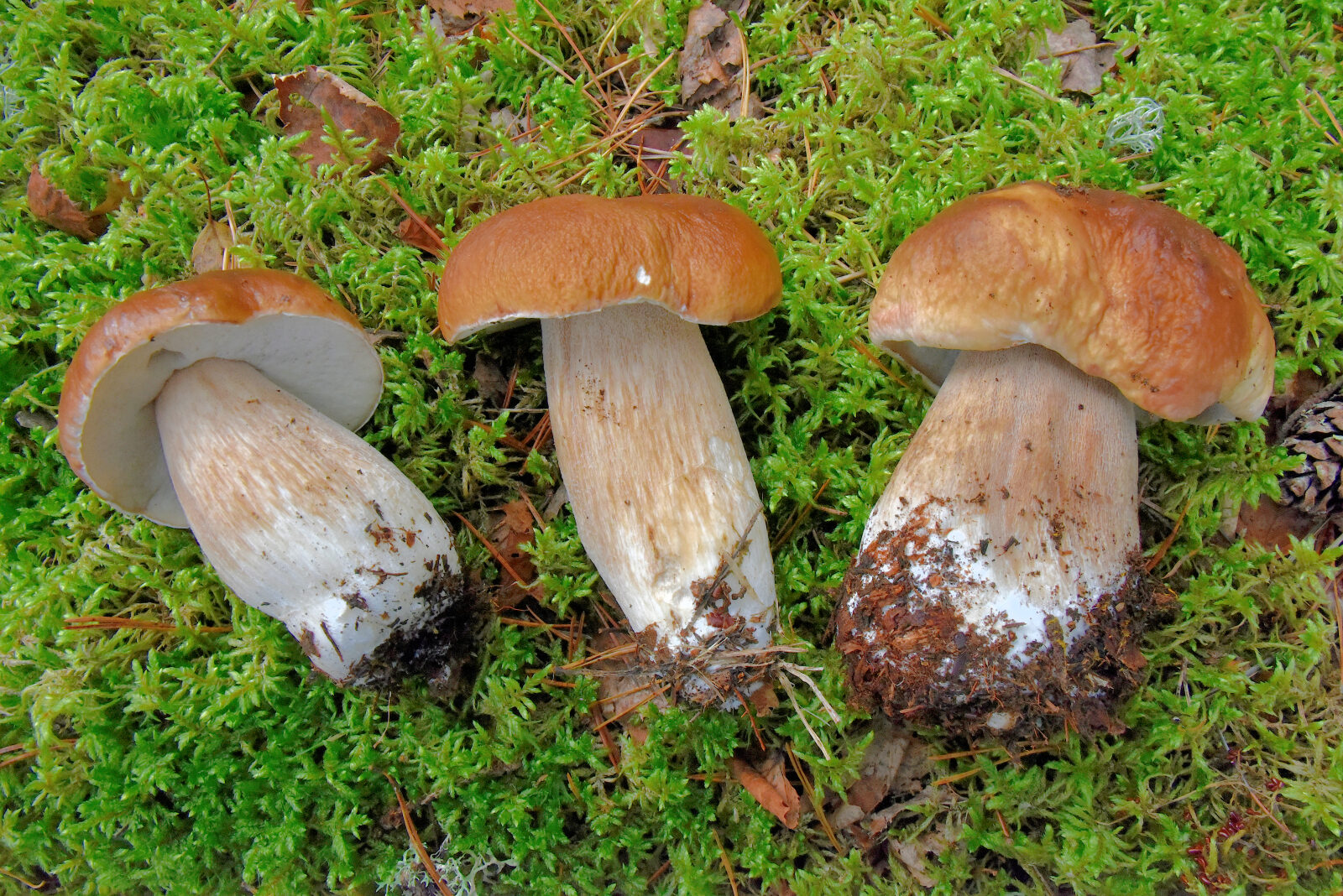 Valokuvaaja: Reijo Juurinen