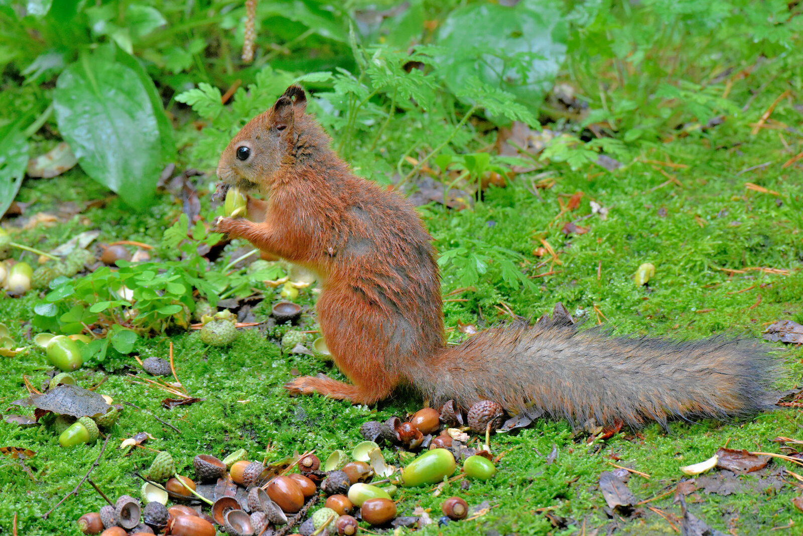 Valokuvaaja: Reijo Juurinen