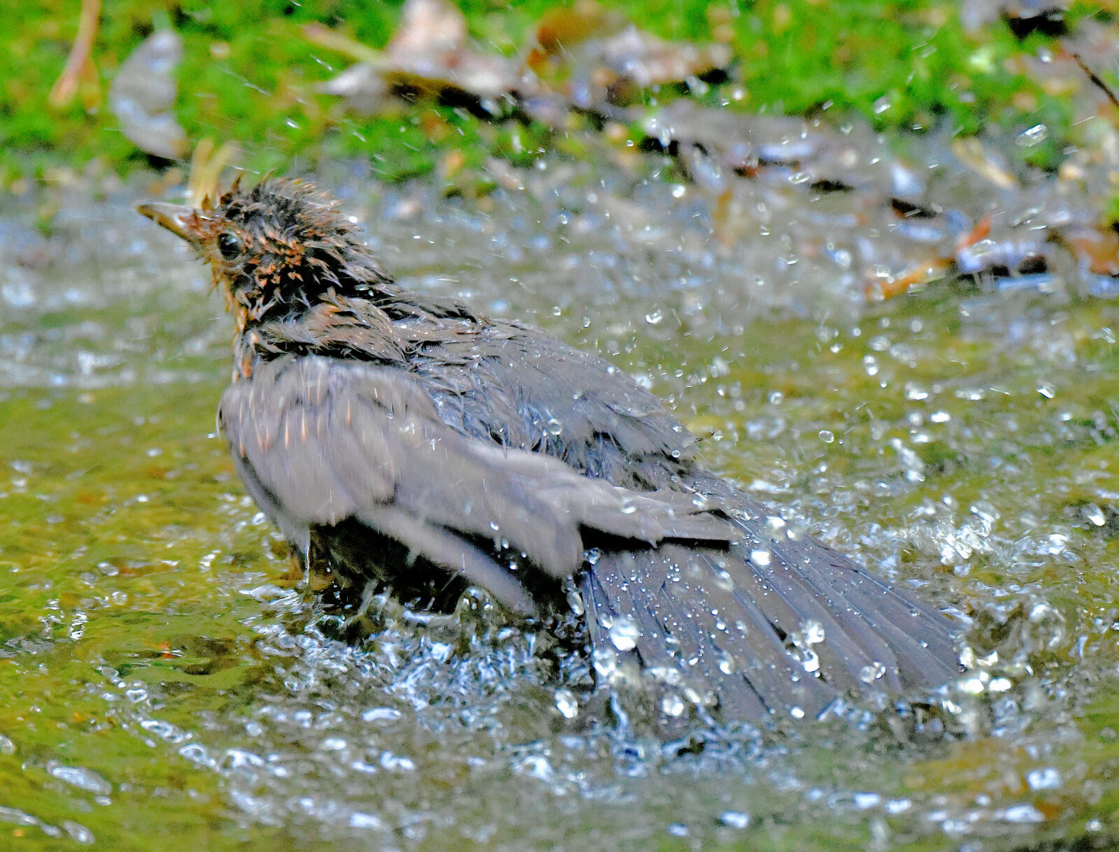 Valokuvaaja: Reijo Juurinen