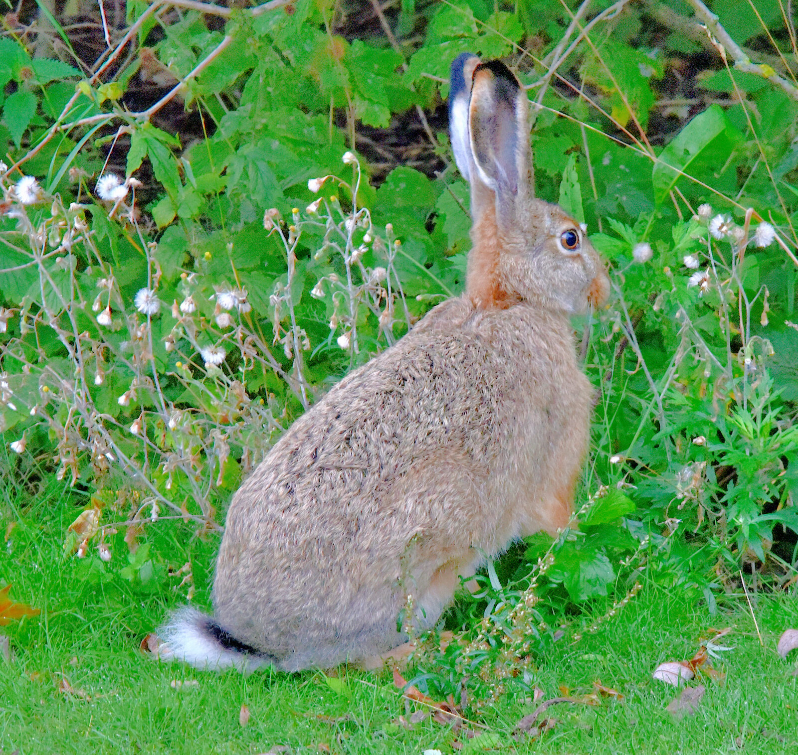 Valokuvaaja: Reijo Juurinen