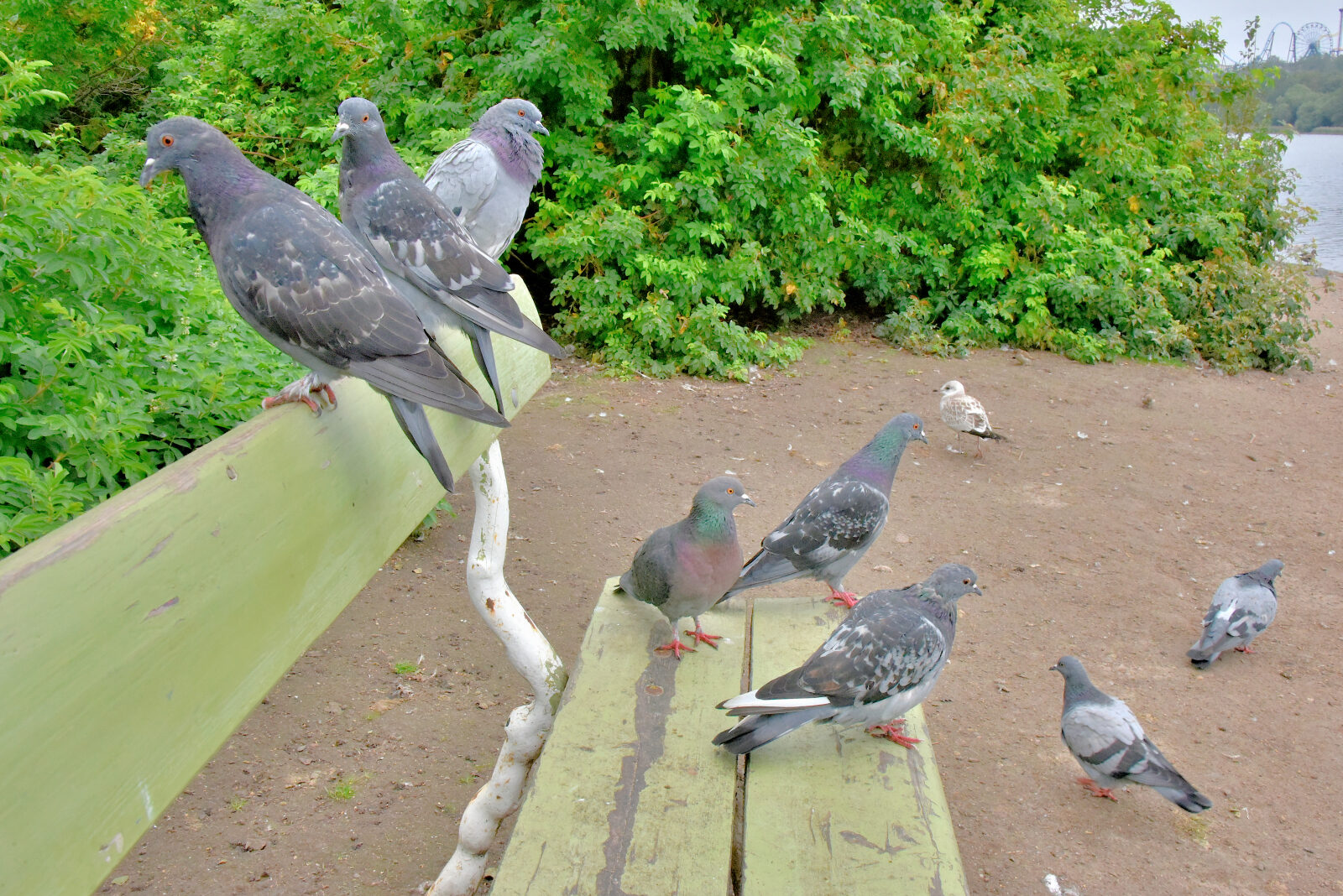 Valokuvaaja: Reijo Juurinen